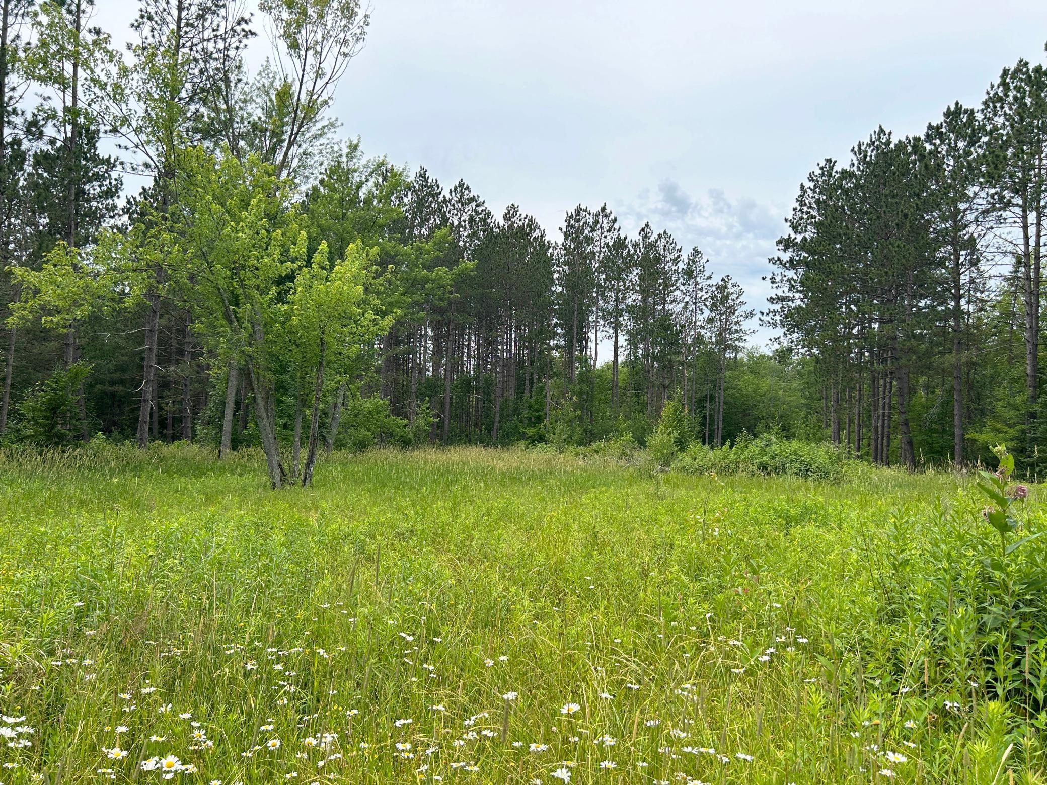 2075 Middle Rd, Cromwell, MN 55726