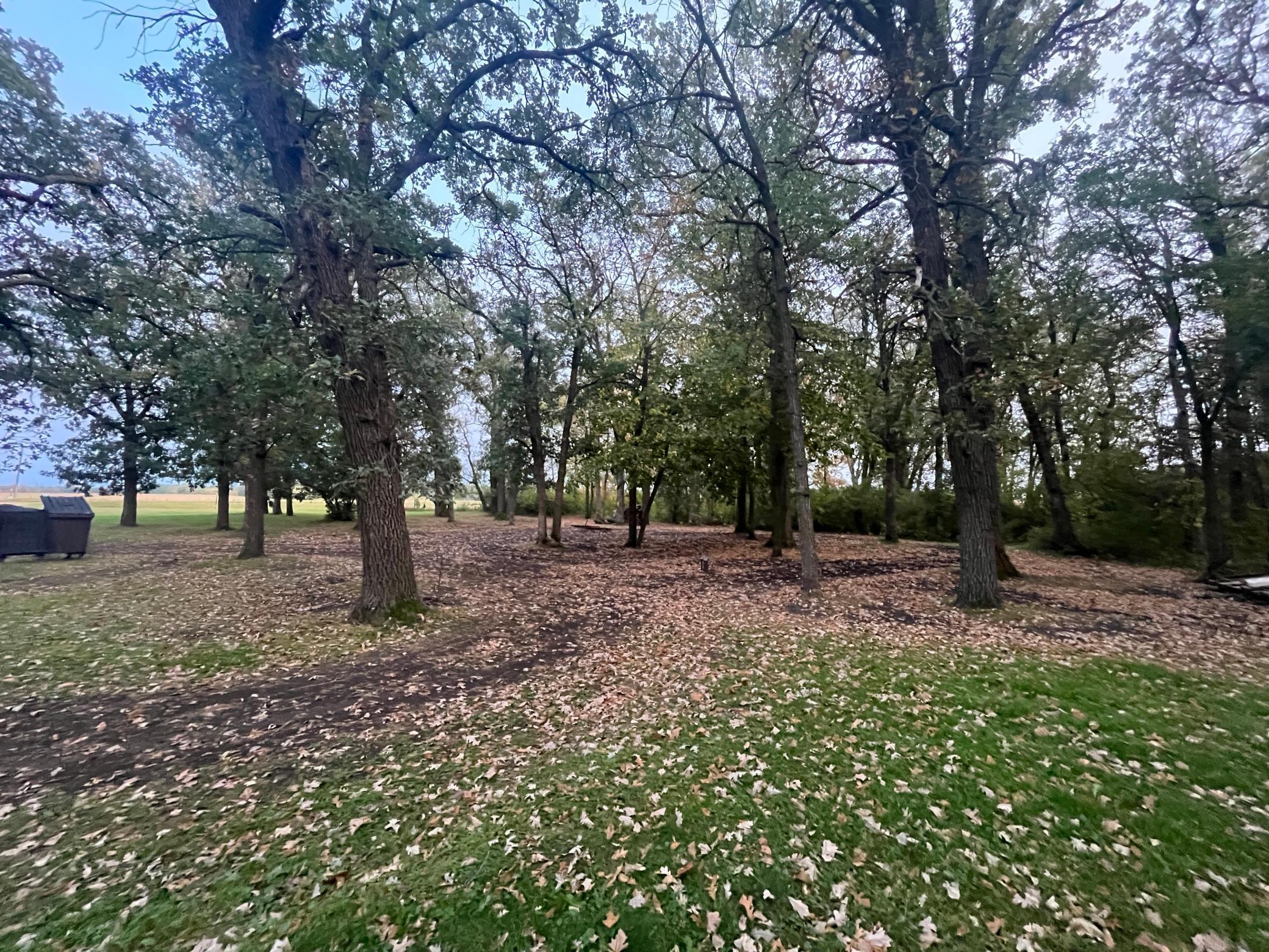 44393 105th Ave SE, Fertile, MN 56540