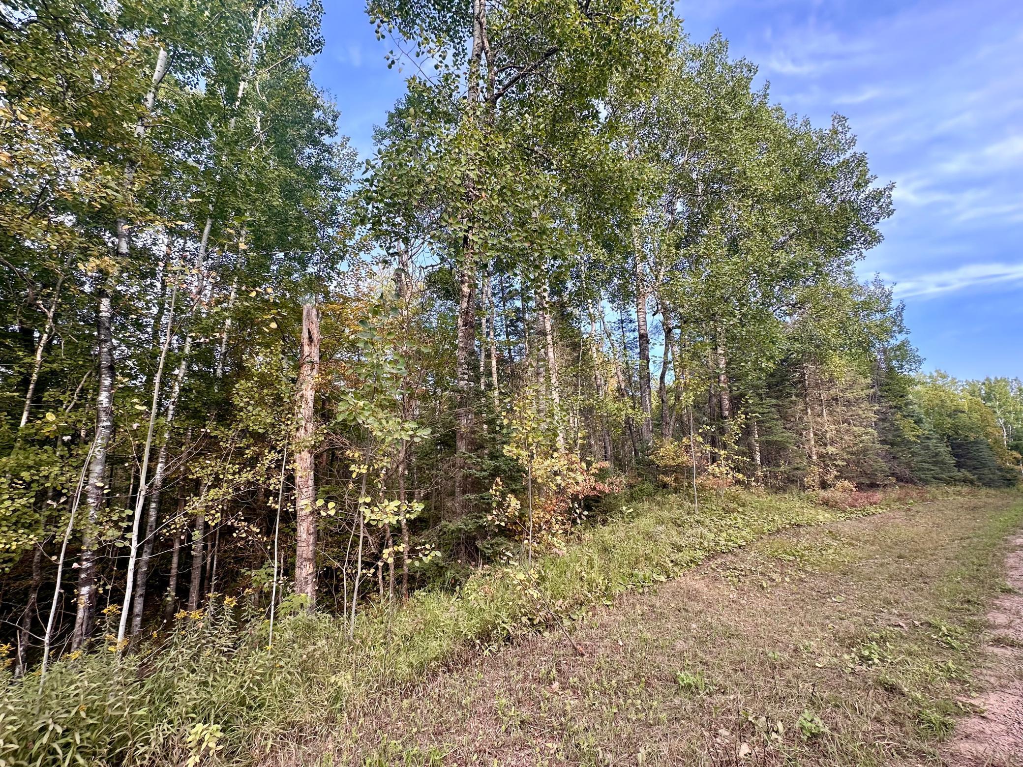 TBD Old Vermillion Trl, Duluth, MN 55803