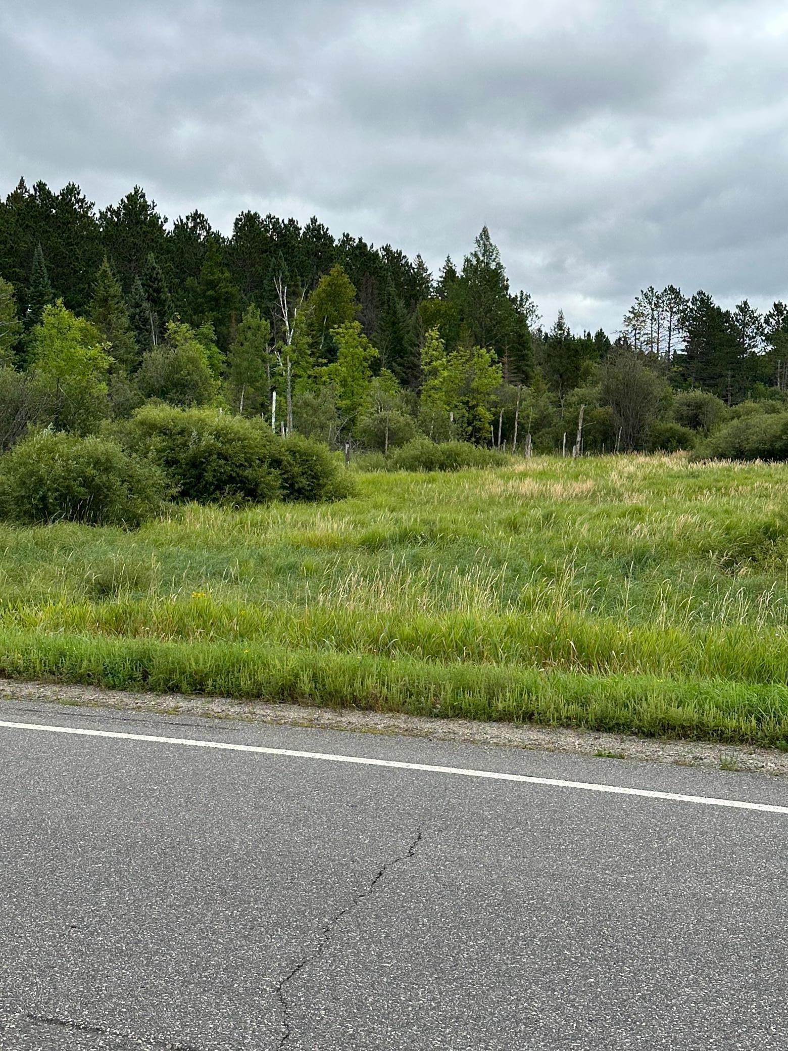 TBD 150 Acres N Of Cross River Hall, Littlefork, MN 56653