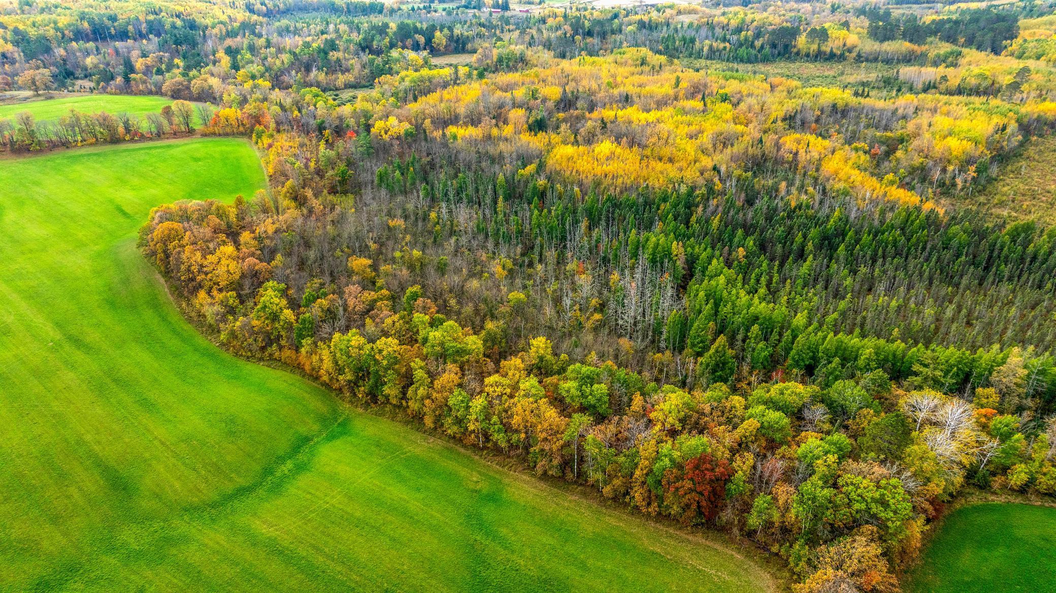 TBD W Debs, Shevlin, MN 56676