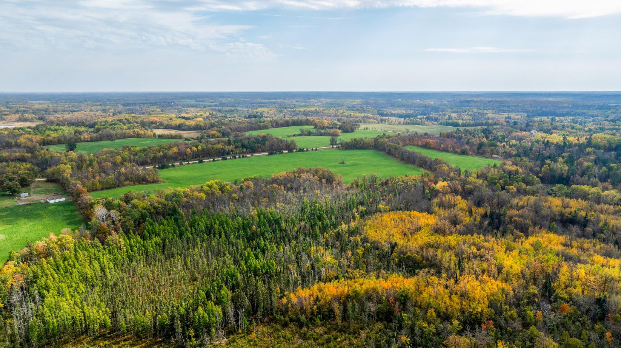 TBD W Debs, Shevlin, MN 56676