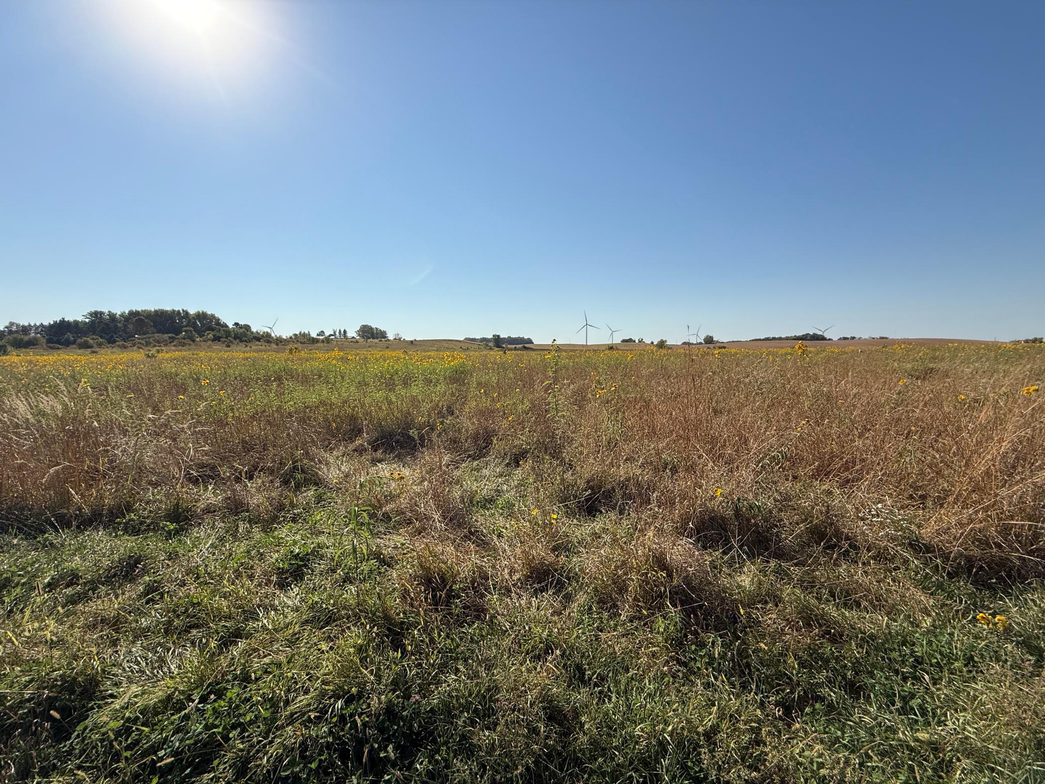 tbd 44th Ave SE, Blooming Prairie, MN 55917