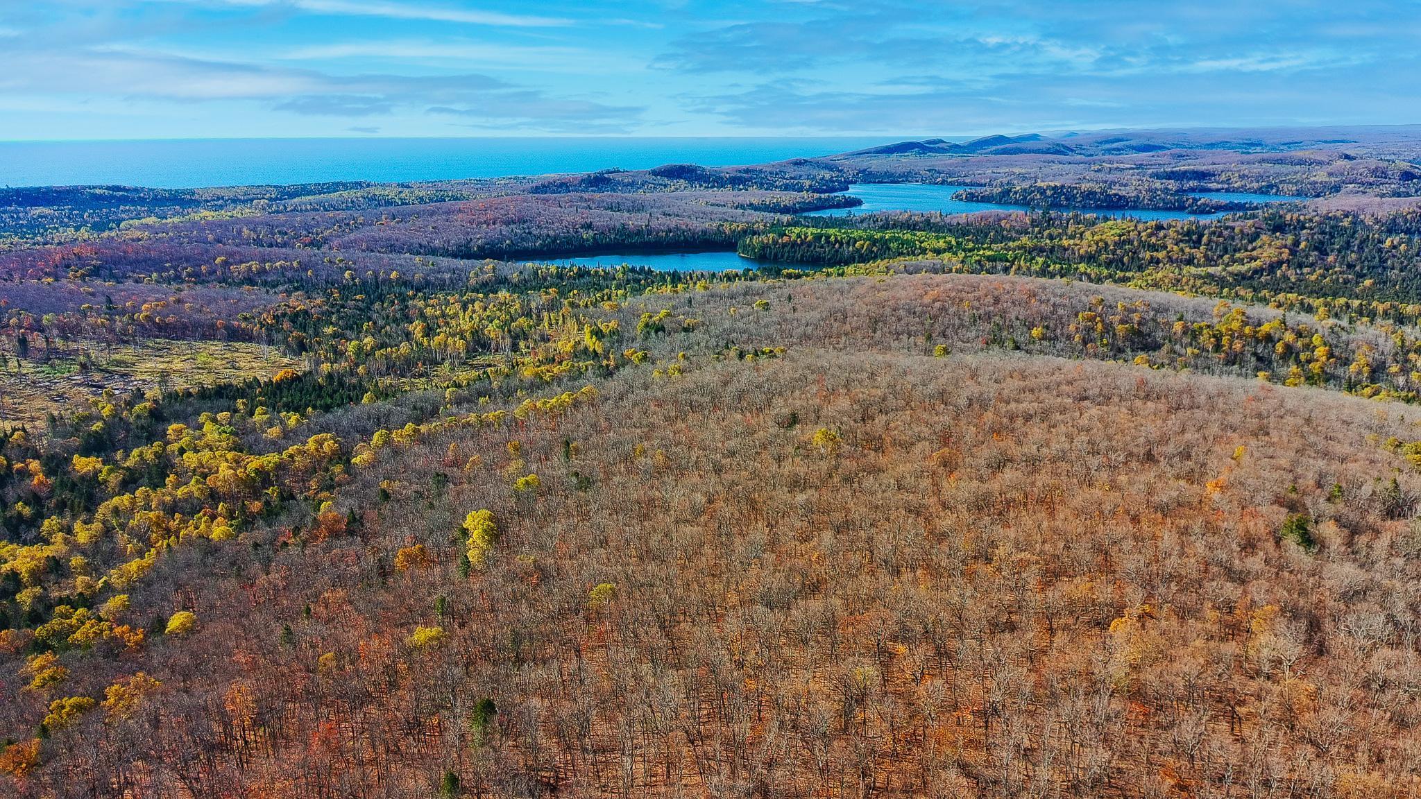 xx W Deeryard Lake Rd, Lutsen, MN 55612