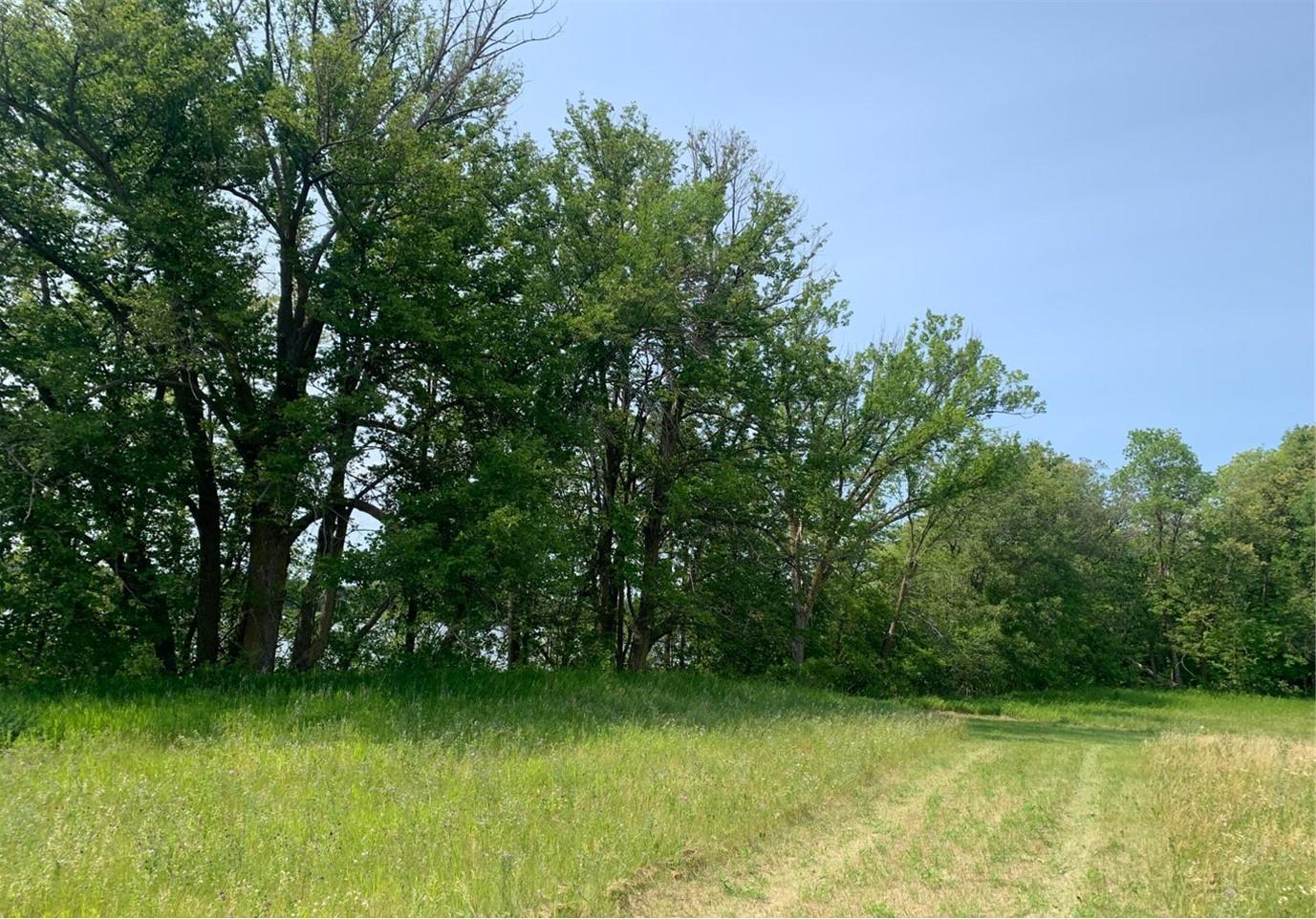 Lt 1 Wood Lake Dr SE, Erskine, MN 56535