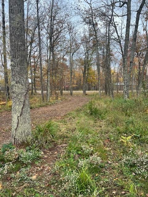 81091 Denham Rd, Willow River, MN 55795