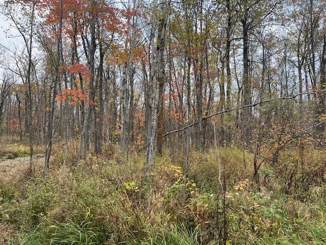 81091 Denham Rd, Willow River, MN 55795