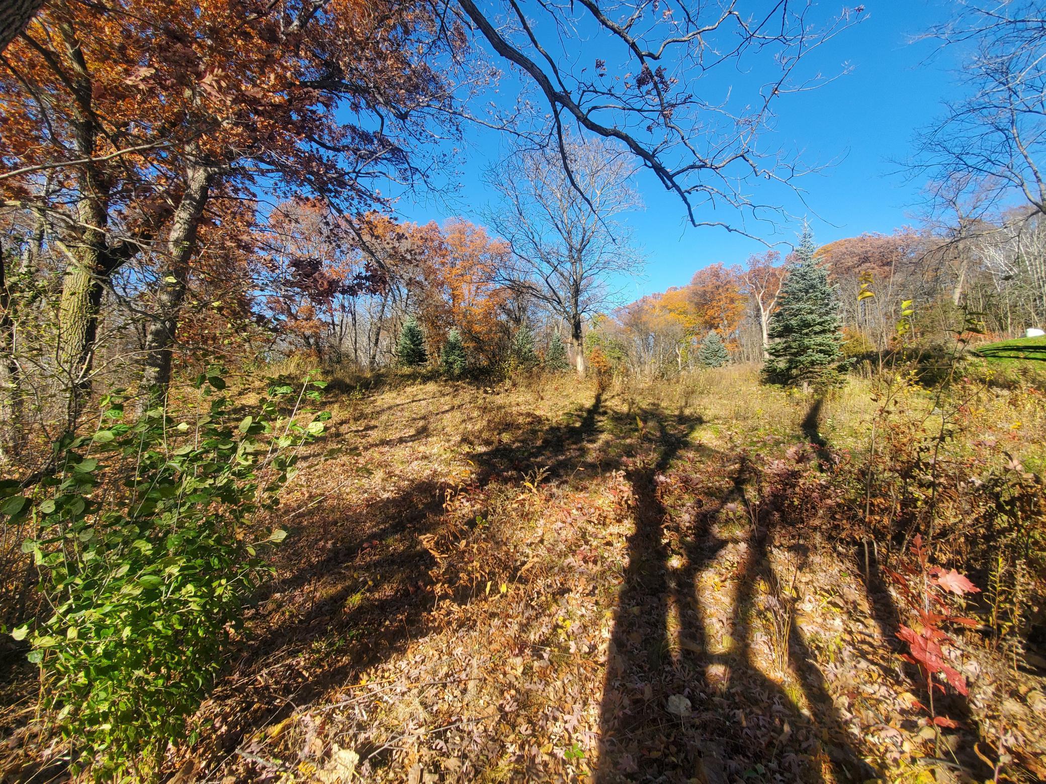 Lot 3 E Cedar Lake Ct, Star Prairie, WI 54026