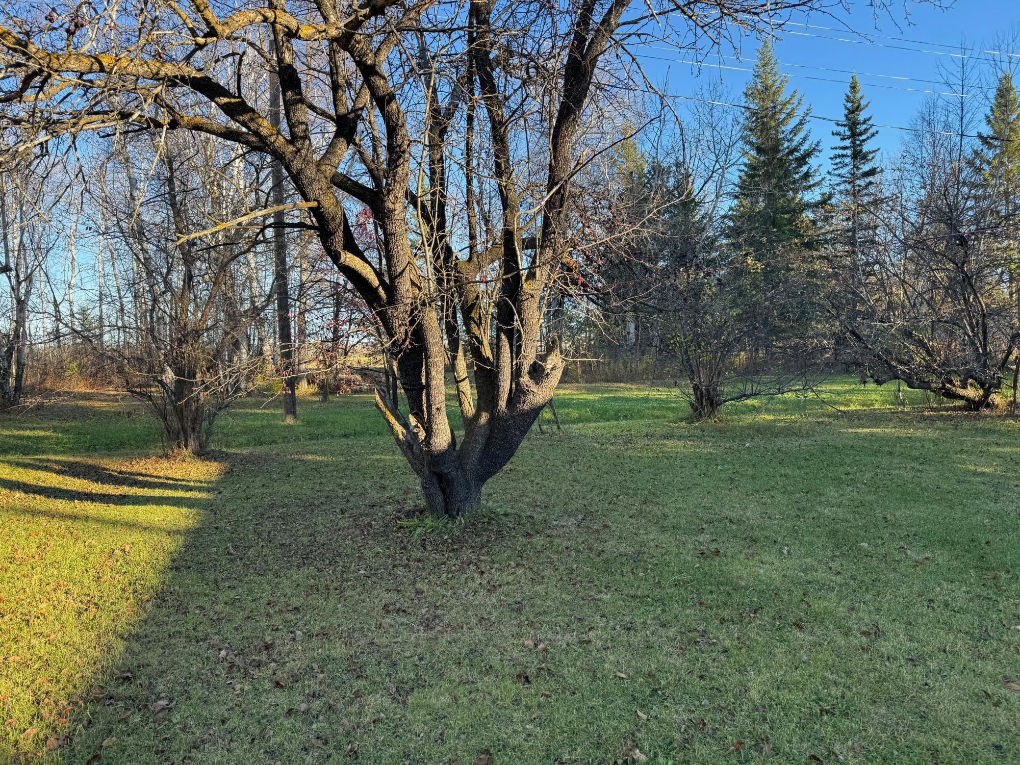 270 Zippel Ave, Williams, MN 56686