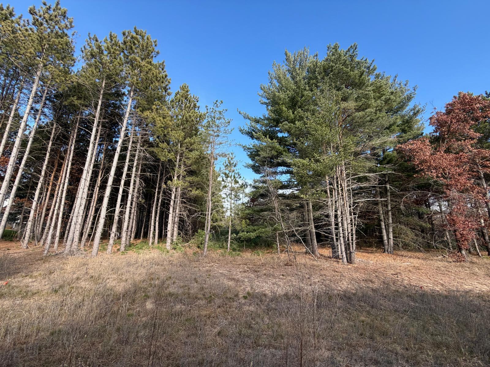 0 262nd Ave NW, Big Lake, MN 55309