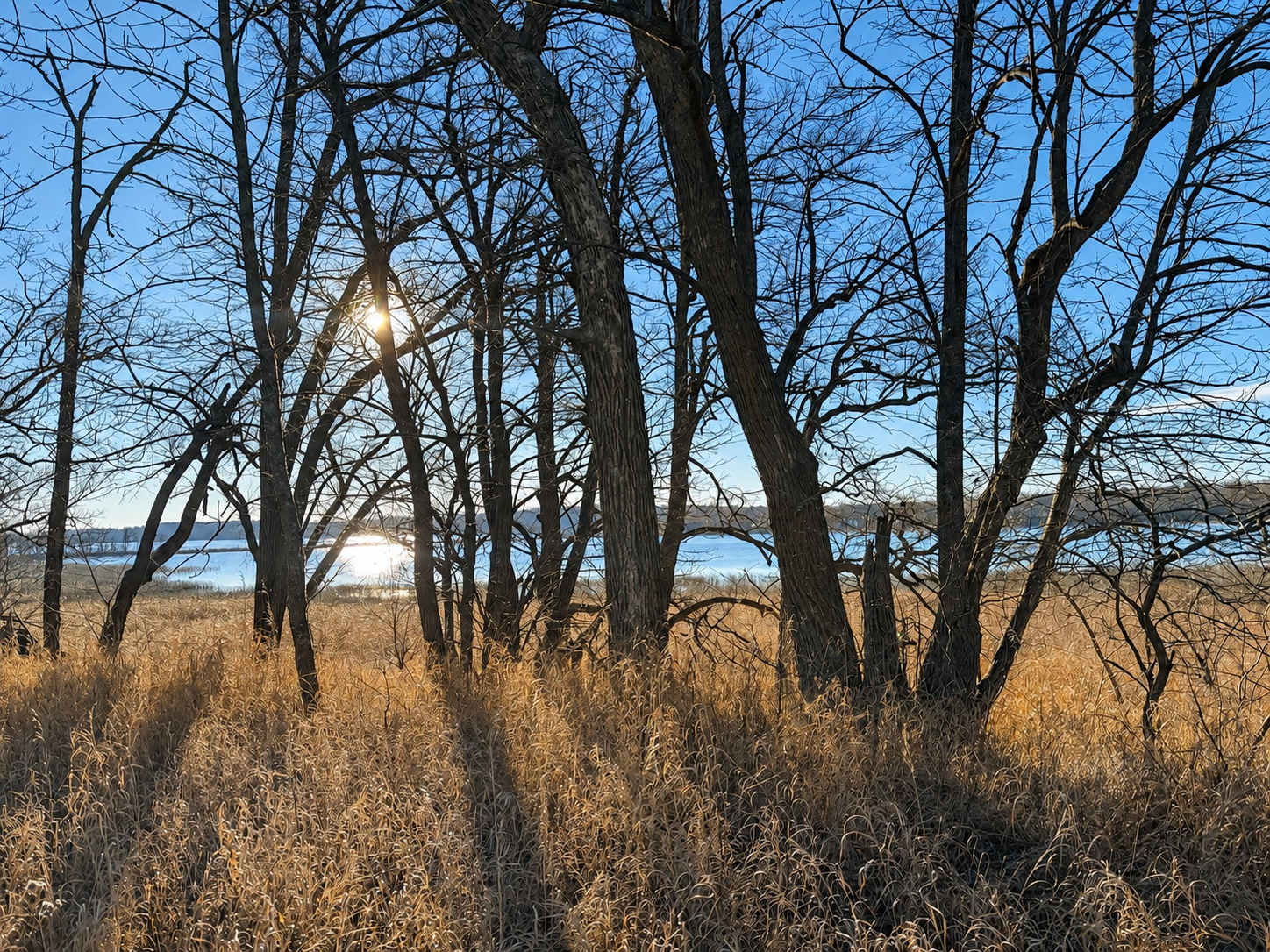 TBD Leaf River Rd, Ottertail, MN 56571