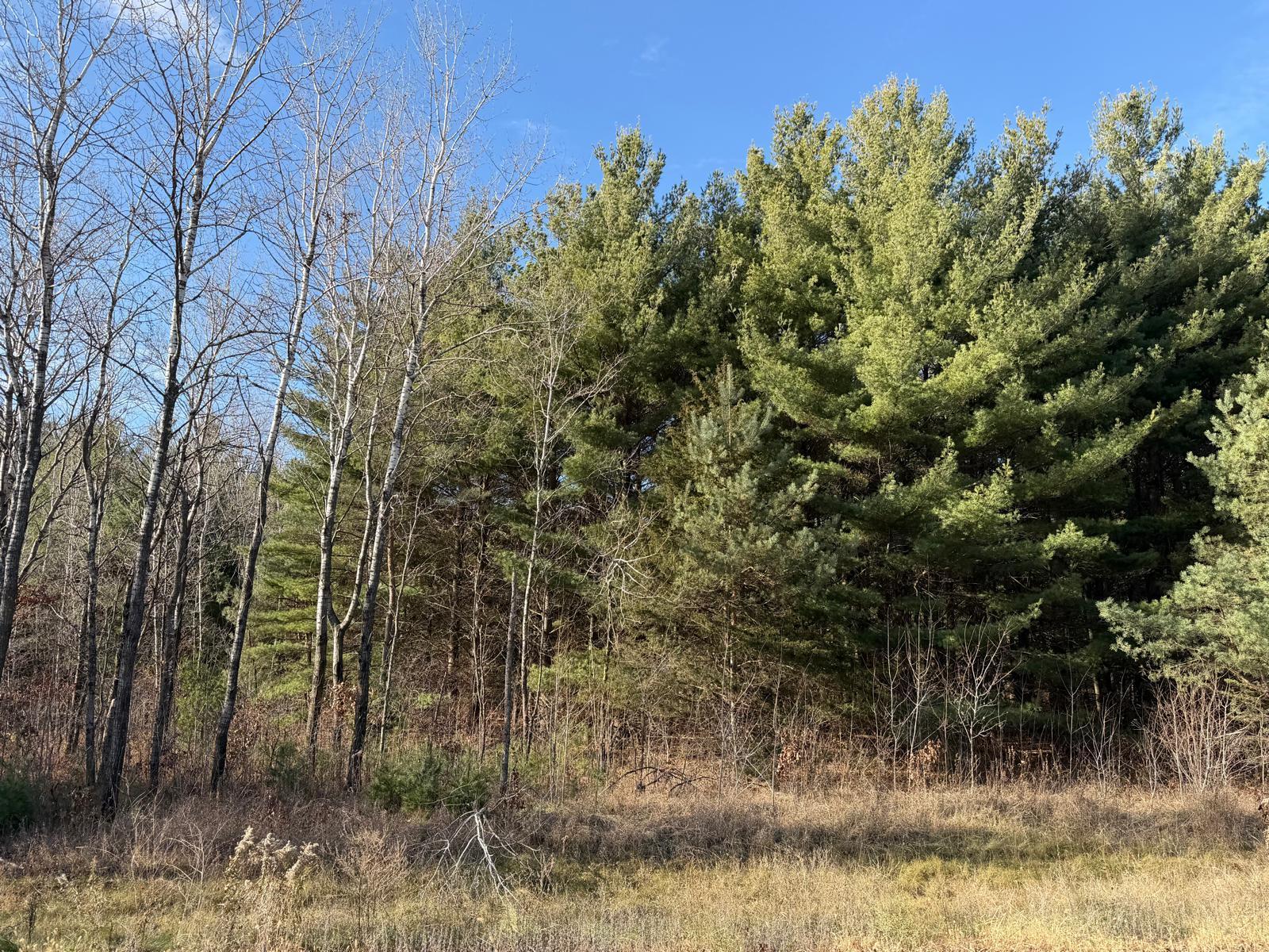 0 177th St NW, Big Lake, MN 55309