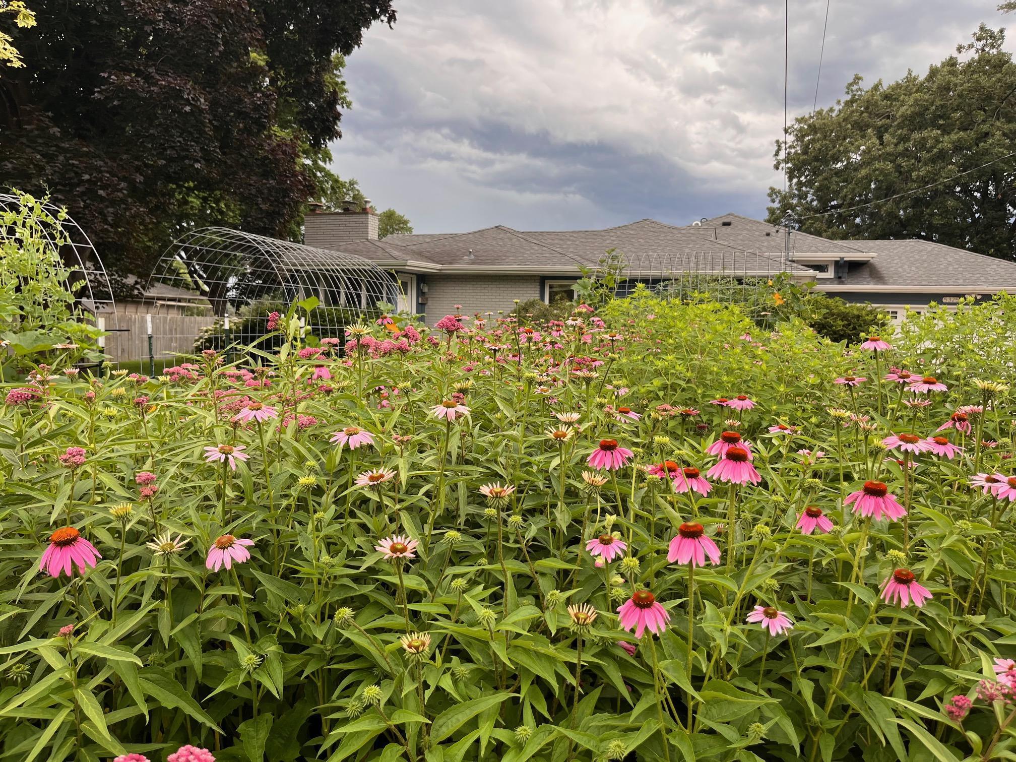 5325 Twin Lake Blvd E, Brooklyn Center, MN 55429