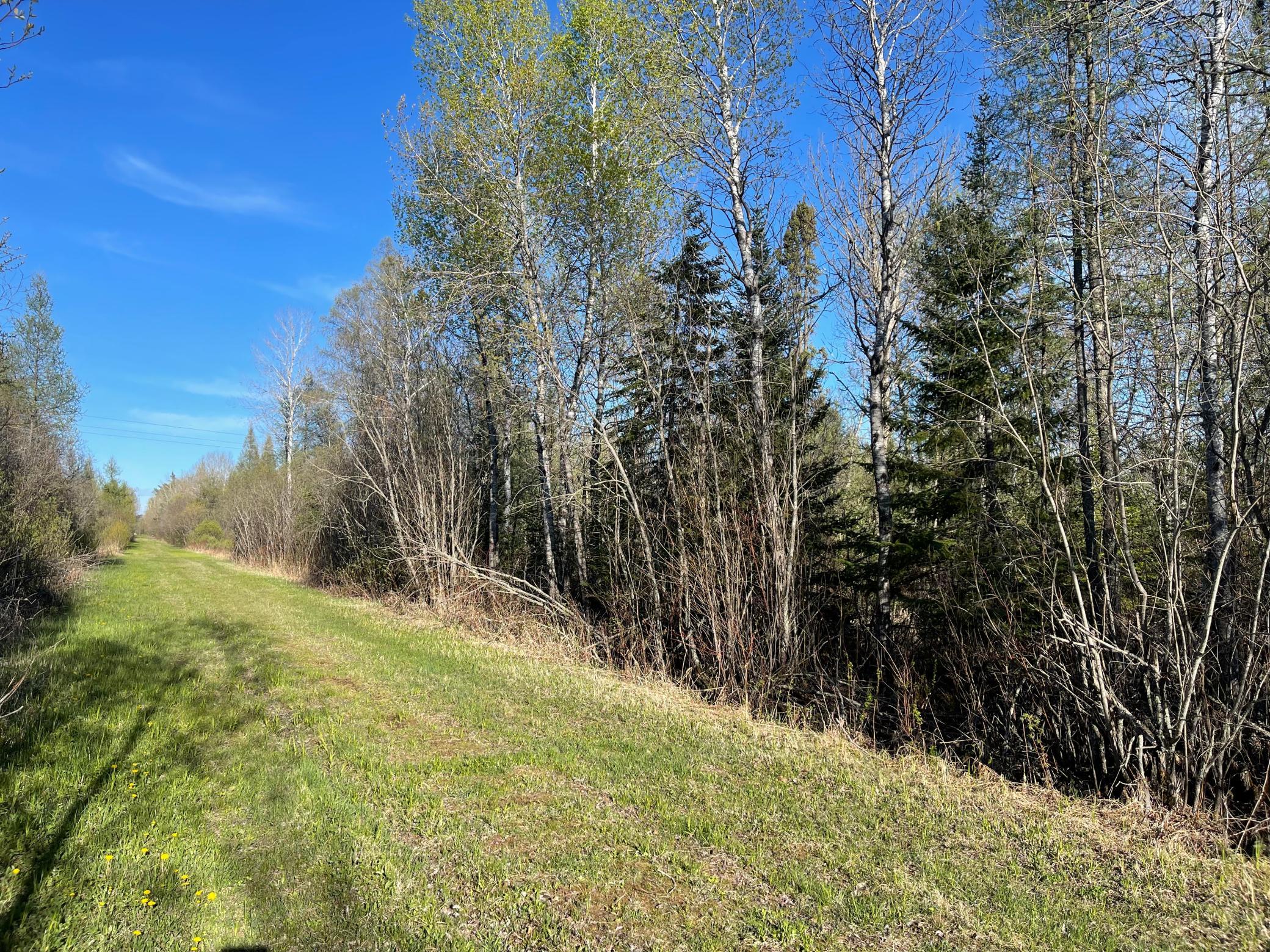 508 Cedar Valley Rd, Floodwood, MN 55736