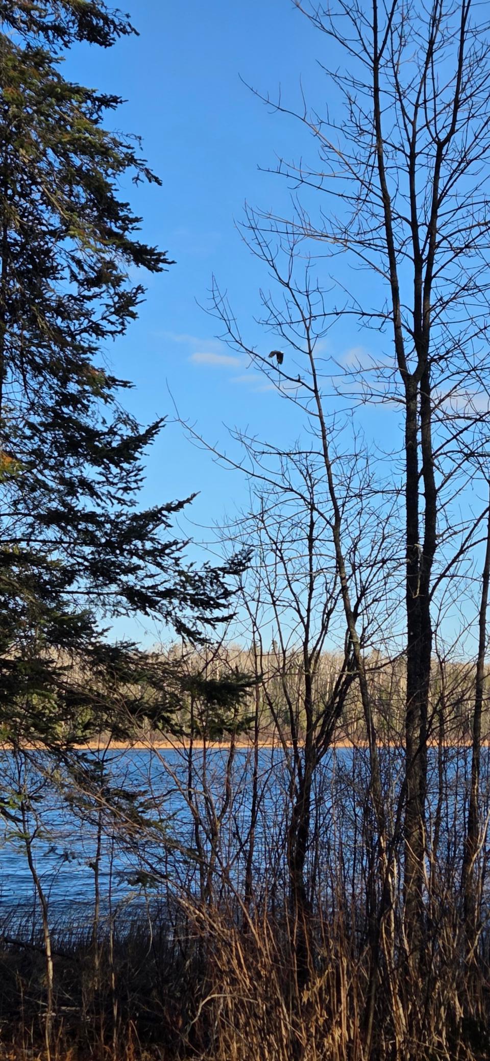 30466 Serenity Trl, Effie, MN 56639