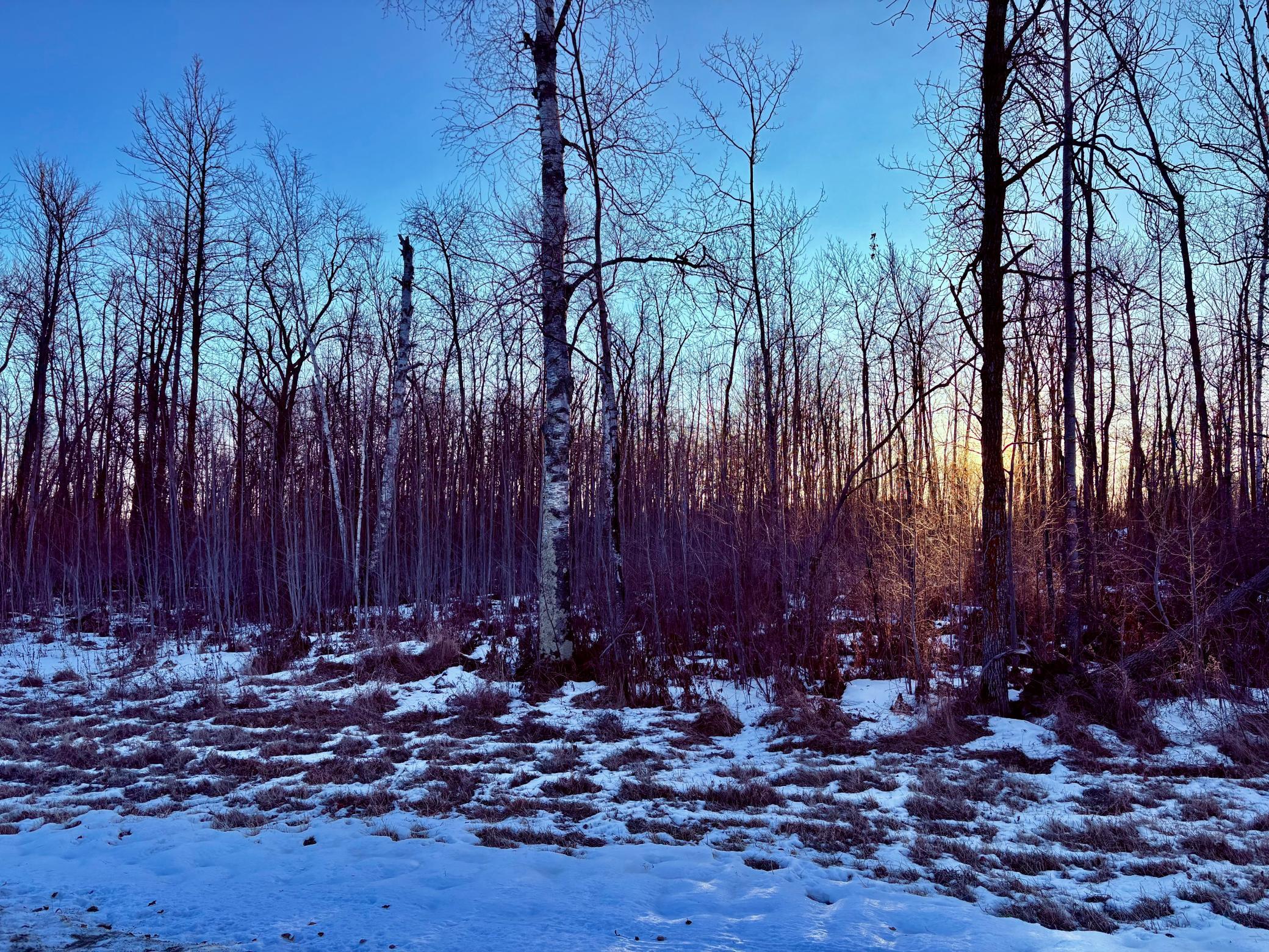 LOT 15 Hooper Creek Loop Nw, Baudette, MN 56623