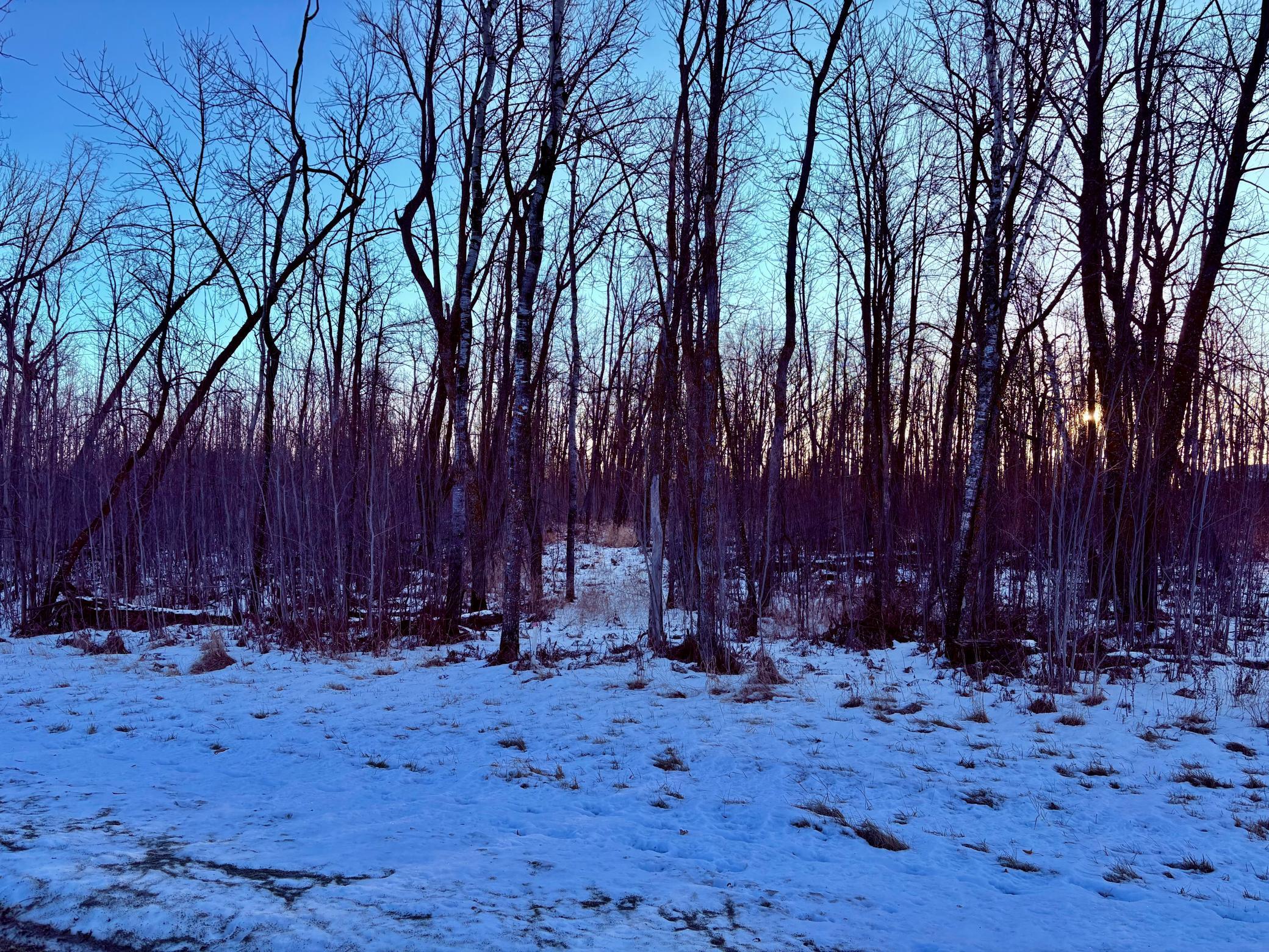 LOT 14 Hooper Creek Loop Nw, Baudette, MN 56623