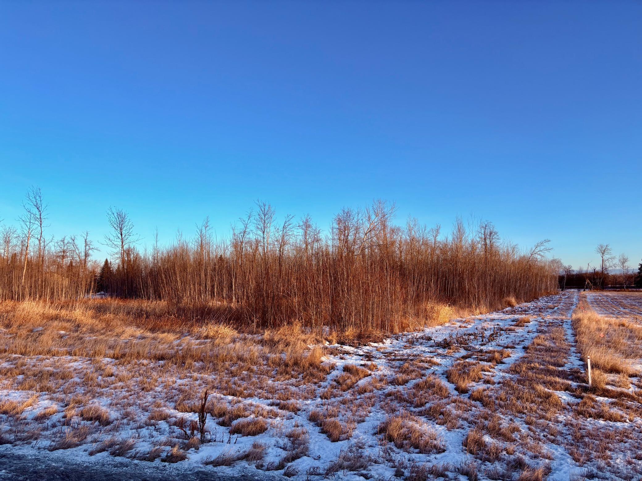 LOT 1 Hooper Creek Loop Nw, Baudette, MN 56623