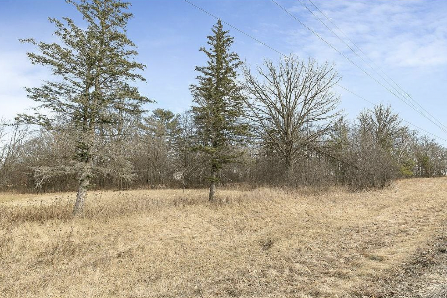 TBD Dove Rd, Randall, MN 56475