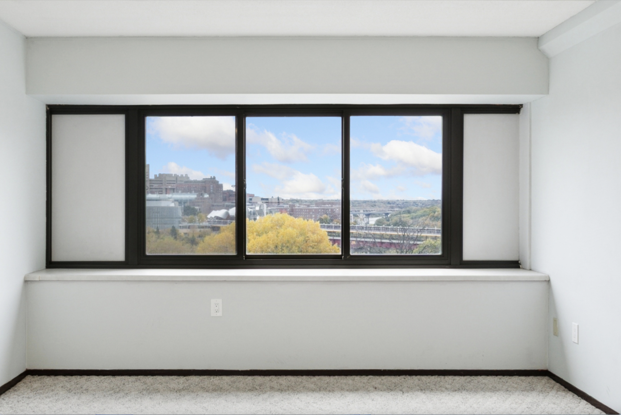 1920 S 1st St #707, Minneapolis, MN 55454