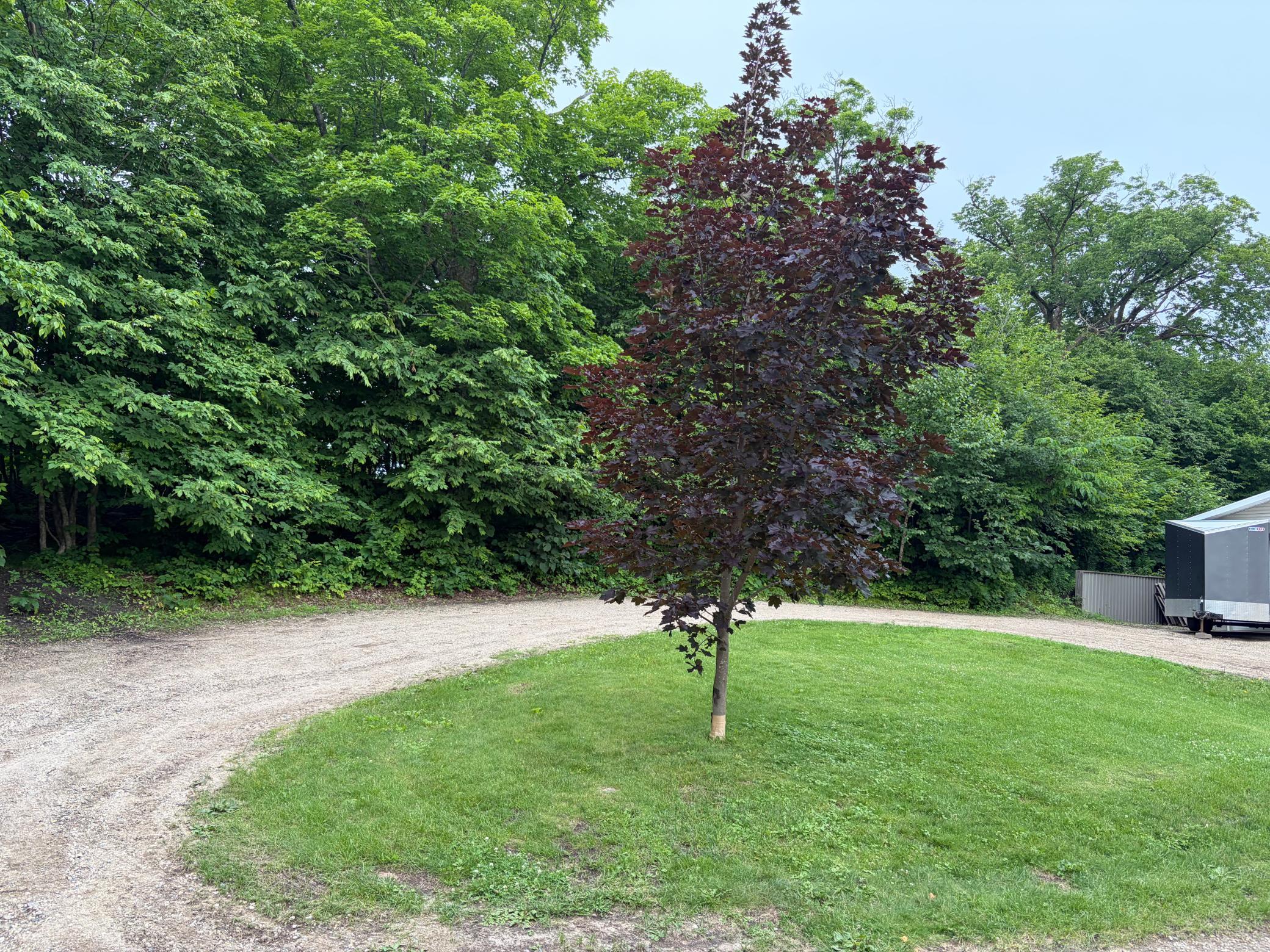 33003 County Hwy 27, Erhard, MN 56534