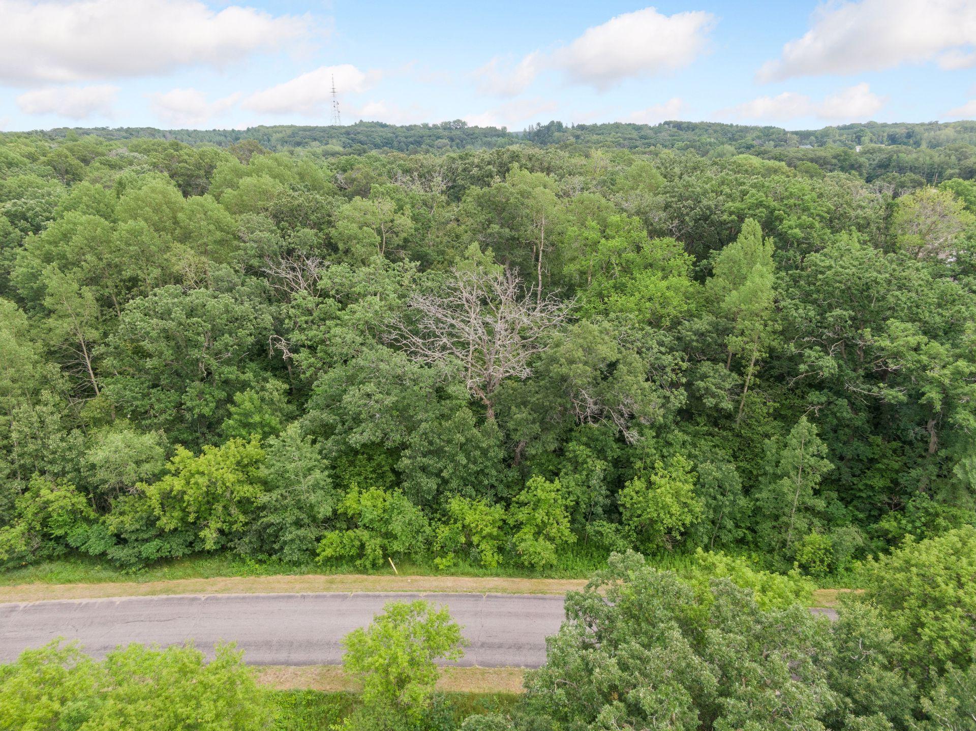 TBD 114th Ave, Zimmerman, MN 55398