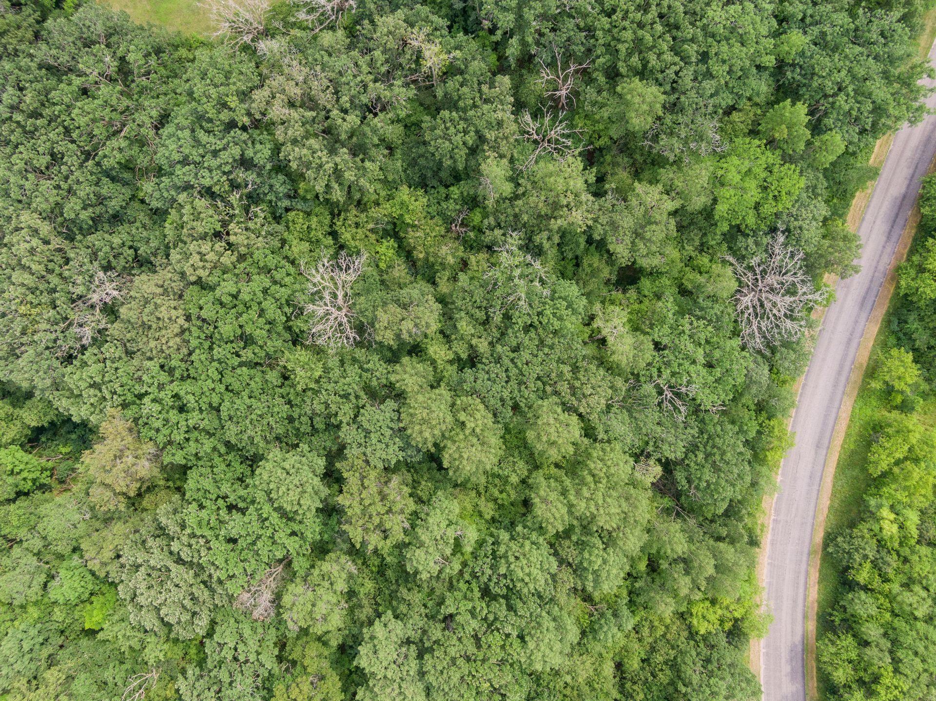 TBD 114th Ave, Zimmerman, MN 55398