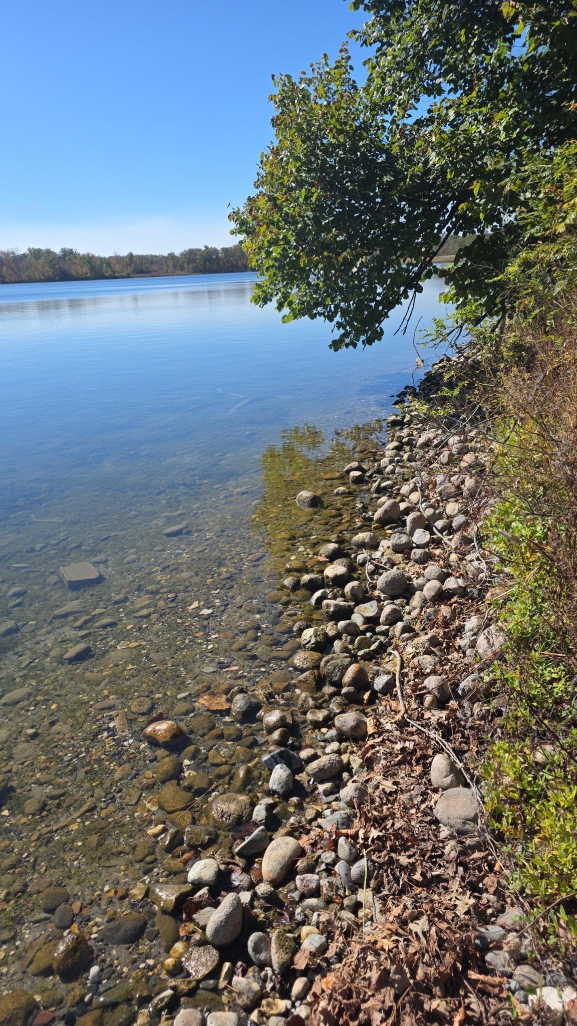 TBD 45 Lots 317th St, Underwood, MN 56586
