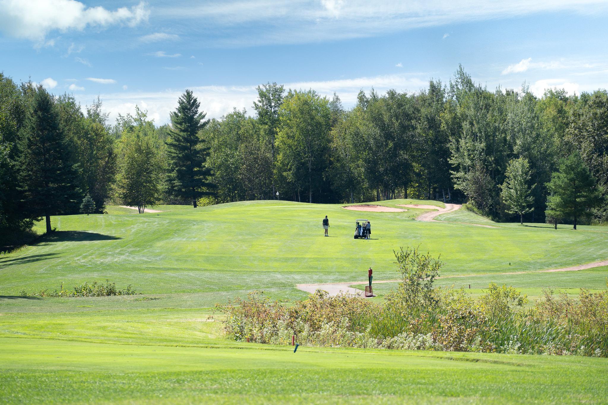 TBD 169 N Hwy 169 N, Coleraine, MN 55722