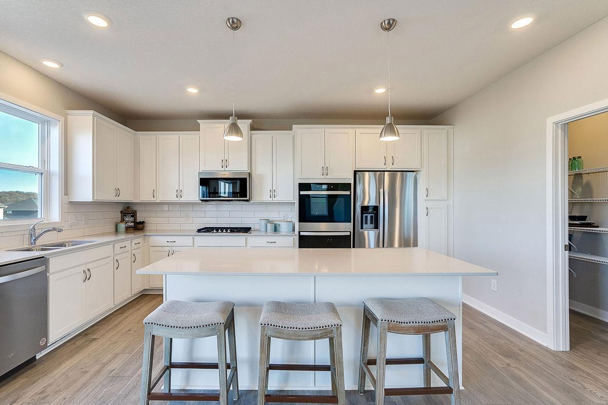 1724 Oak Creek Ps, Chaska, MN 55318
