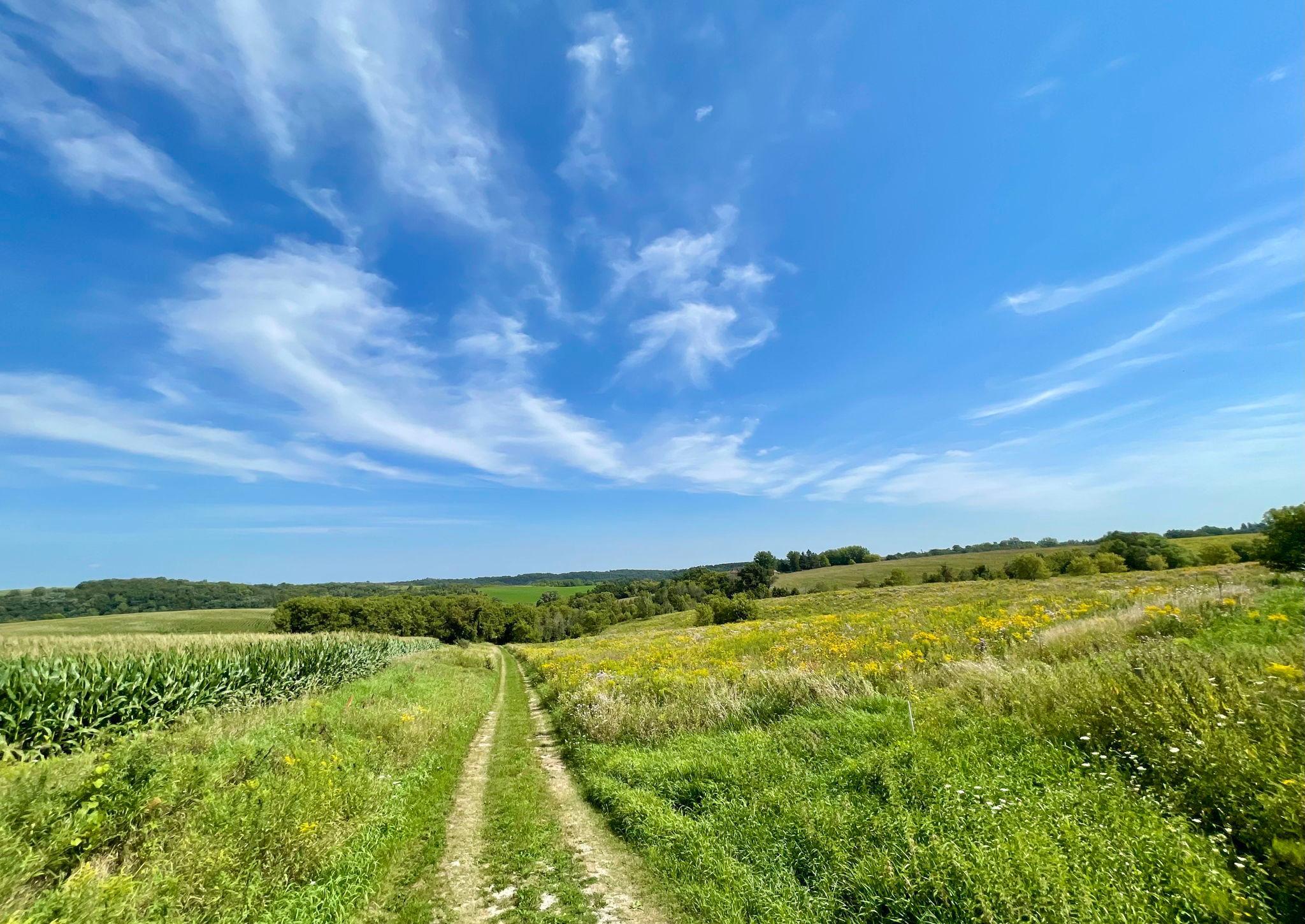 TBD County 8, Spring Grove, MN 55954