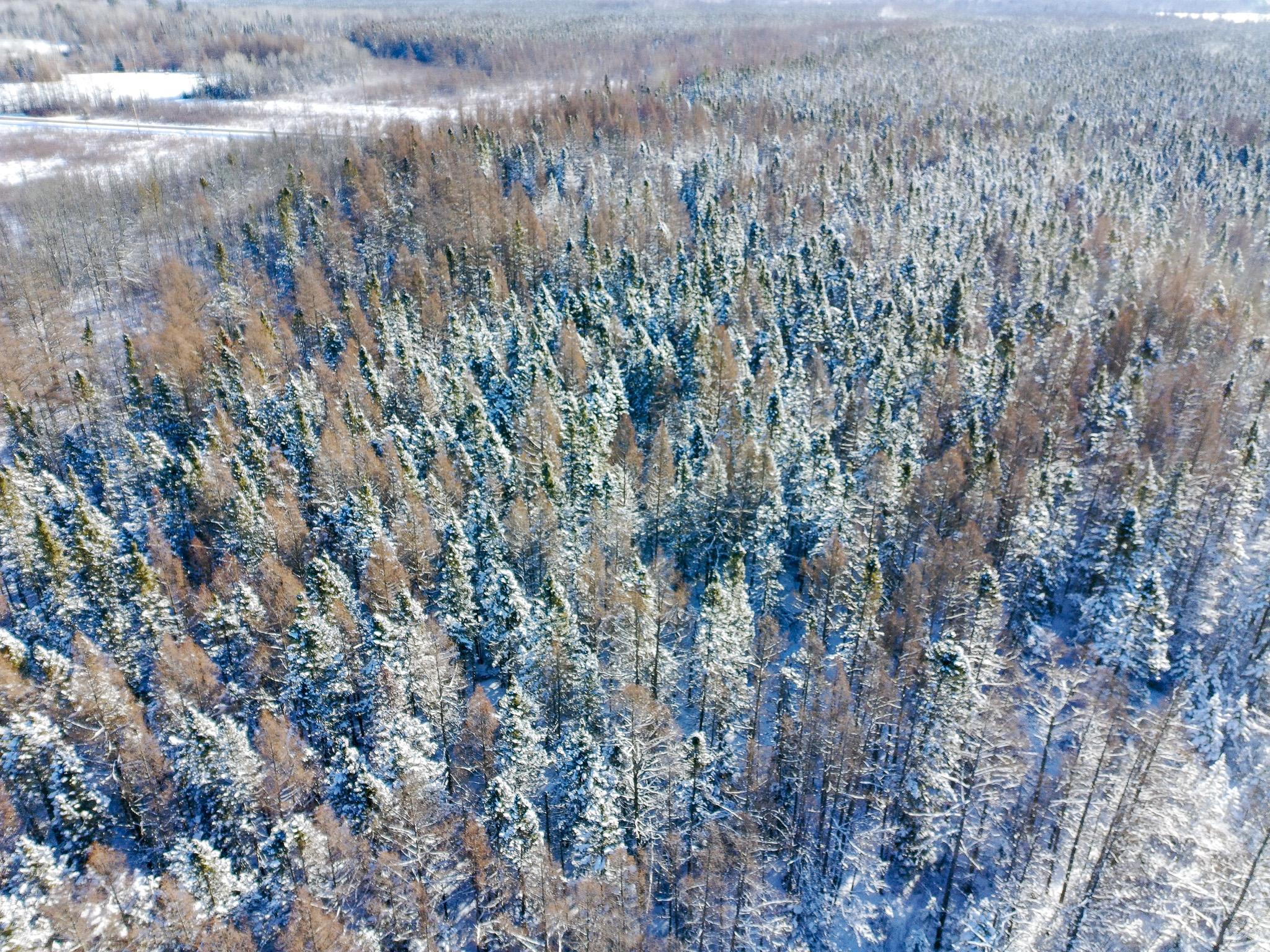 XXXX Hwy 73, Cromwell, MN 55726