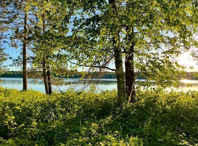 TBD Variety Lake Dr NW, Hackensack, MN 56452