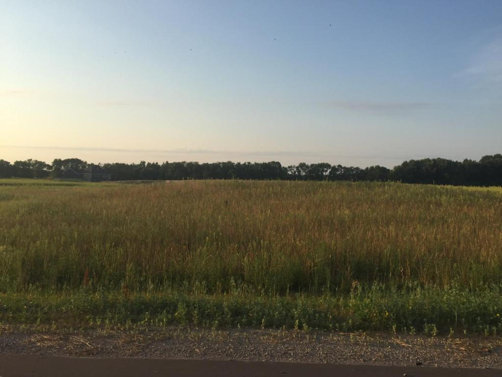 8354 169th Ave NE, Forest Lake, MN 55025