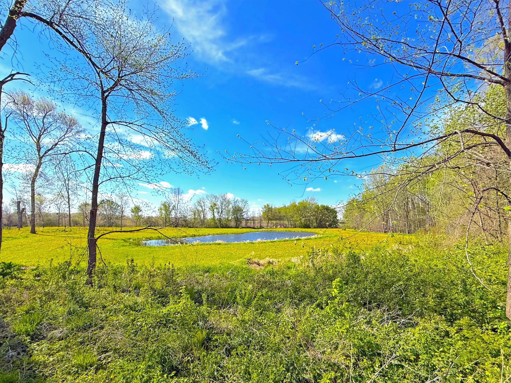 72XX County Road 5 NW, Howard Lake, MN 55349