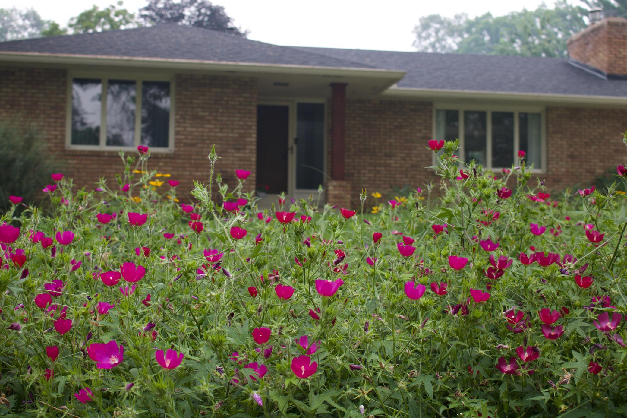 4620 Hampton Rd, Golden Valley, MN 55422