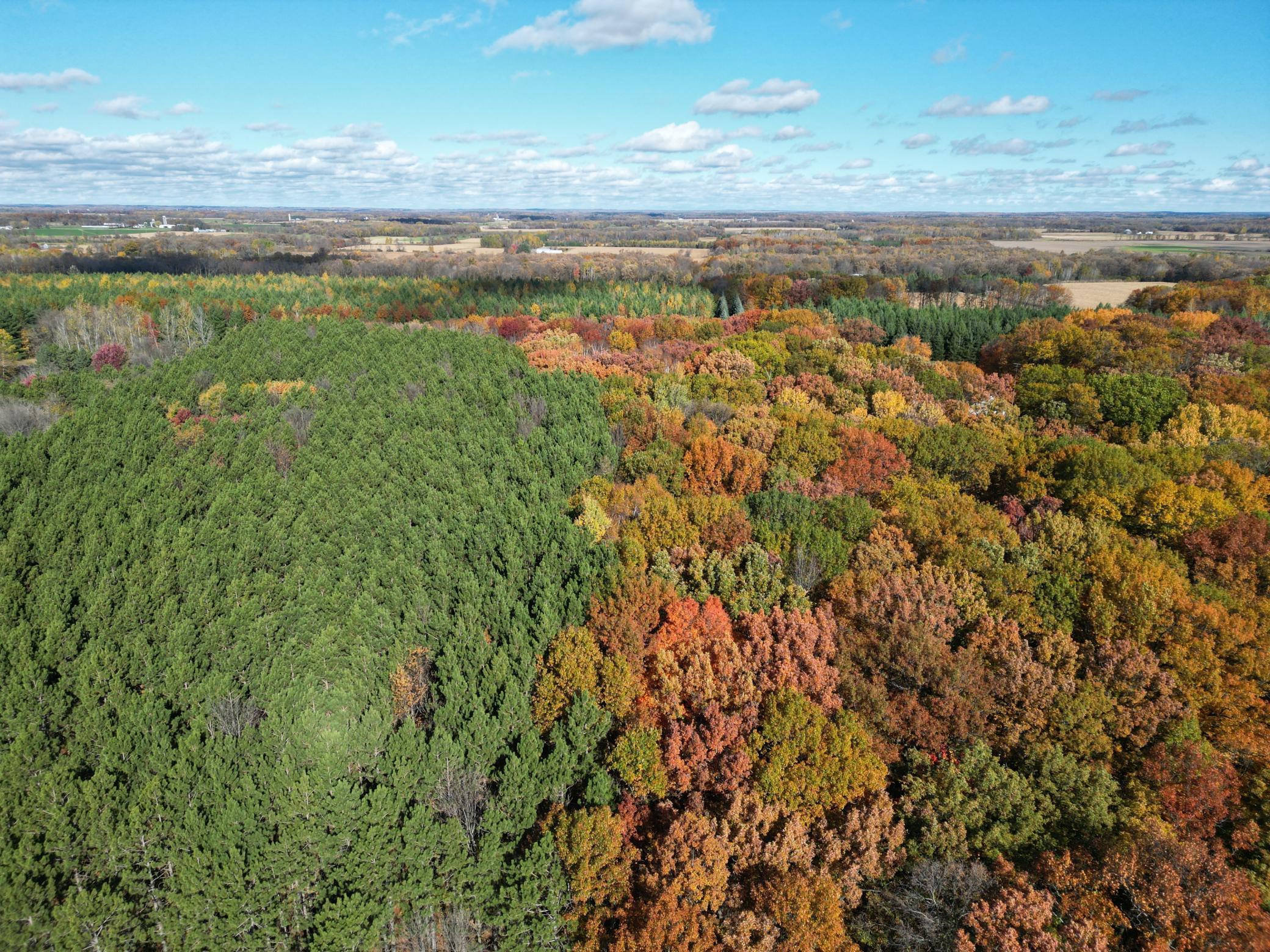 TBD 153rd ST 153rd, Little Falls, MN 56345