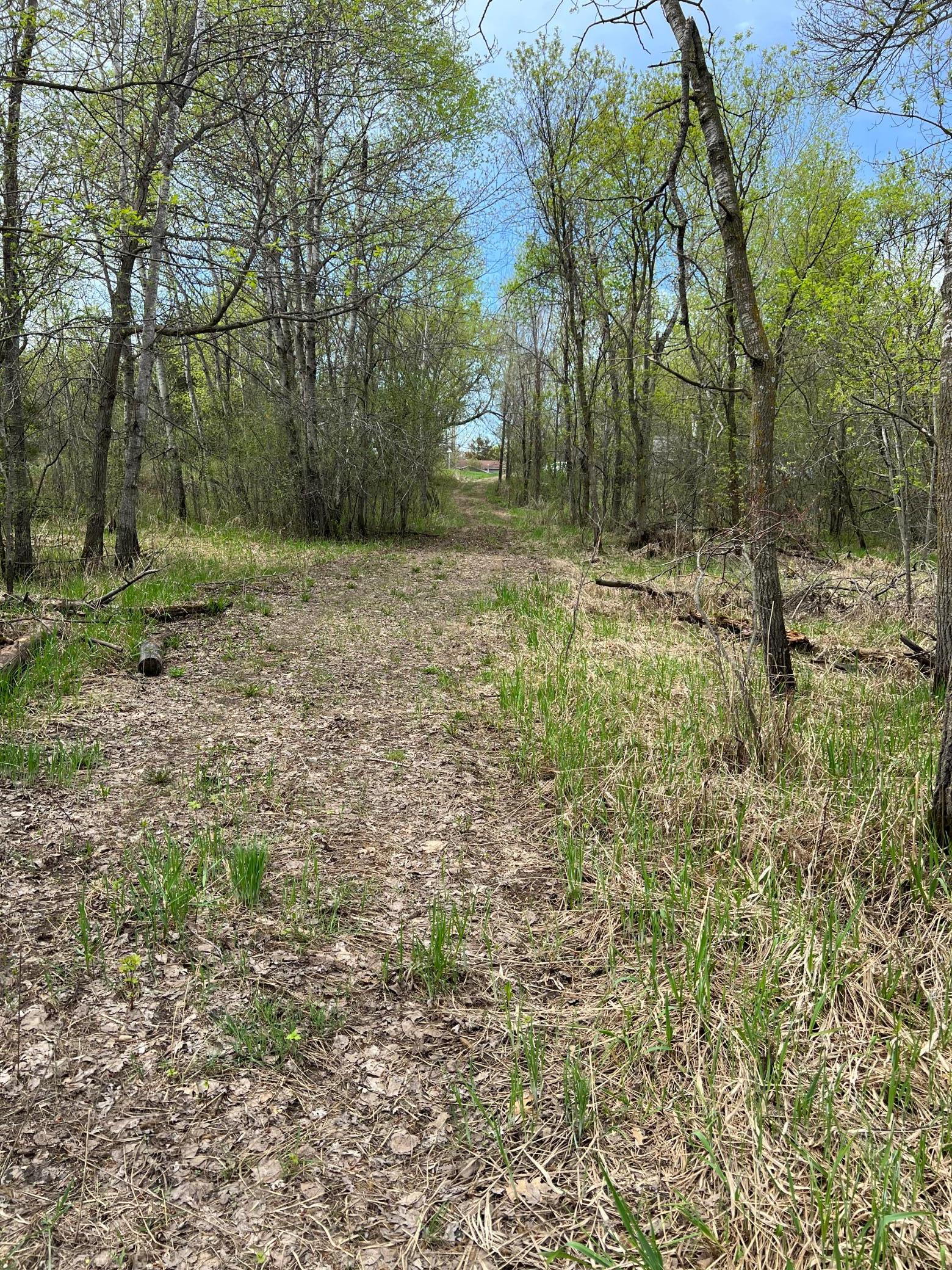 TBD Maple St N, Royalton, MN 56373