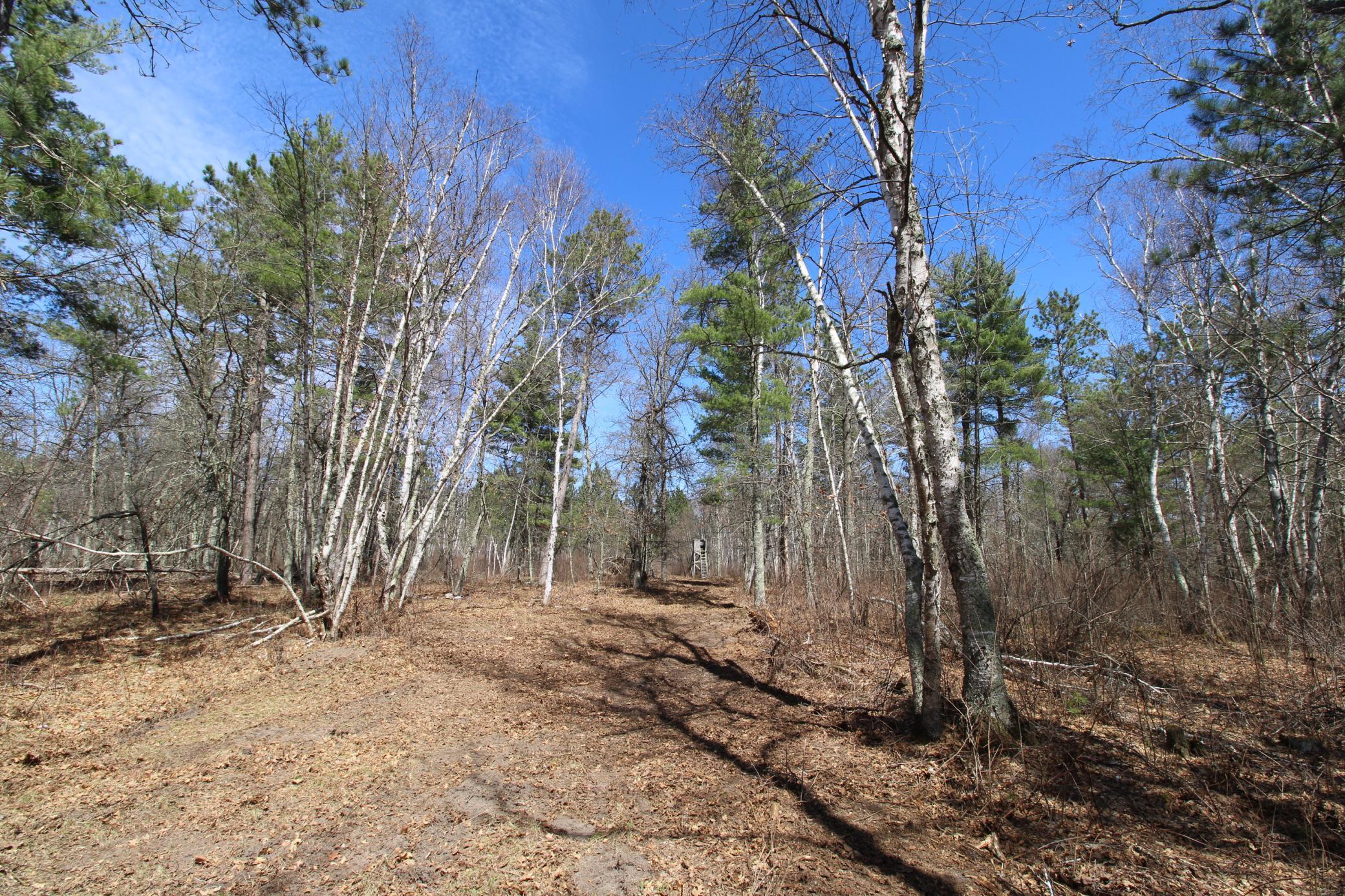 37441 Darsnek Rd, Emily, MN 56447