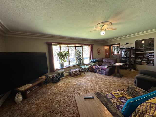 21188 State Highway 65, Goodland, MN 55742
