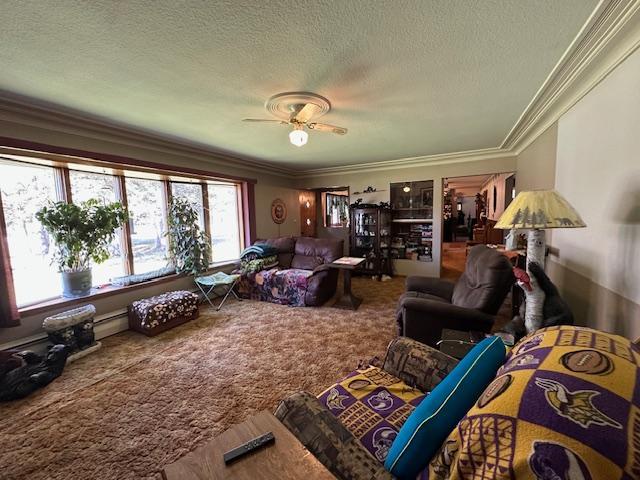 21188 State Highway 65, Goodland, MN 55742