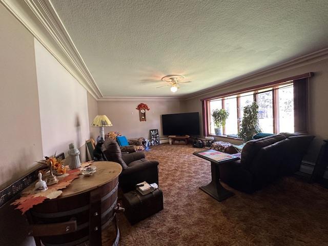 21188 State Highway 65, Goodland, MN 55742