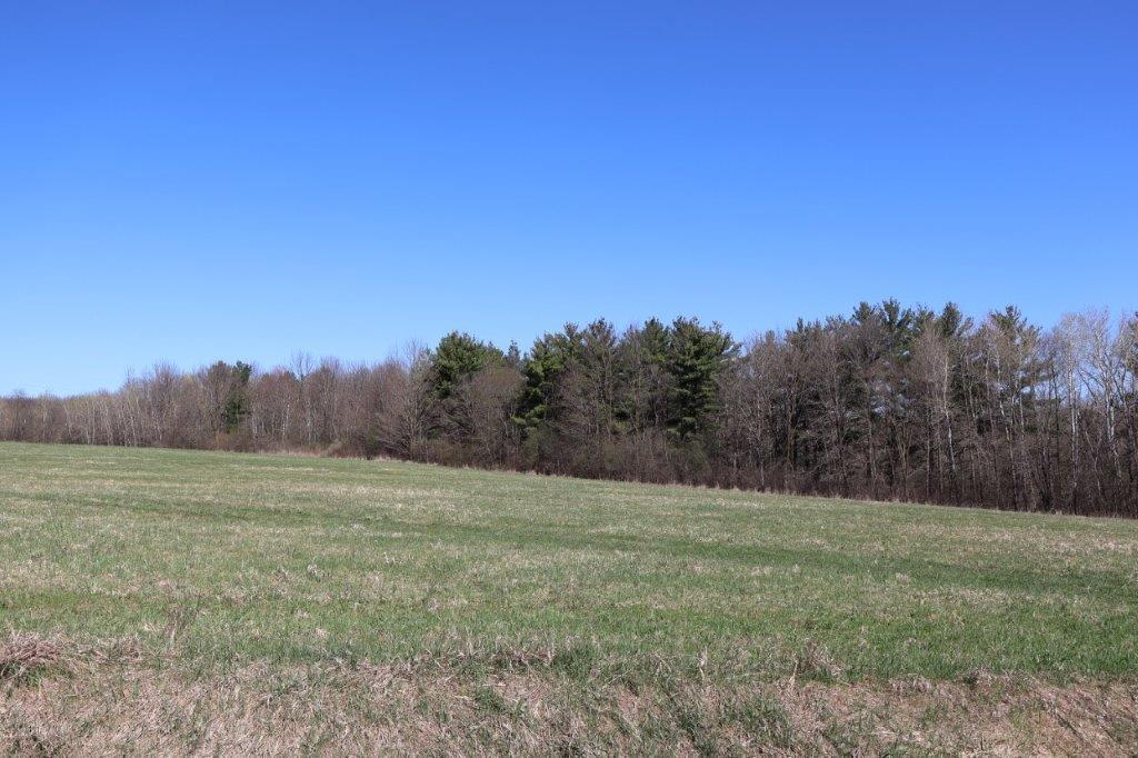 TBD Us Highway 63, Clear Lake, WI 54005