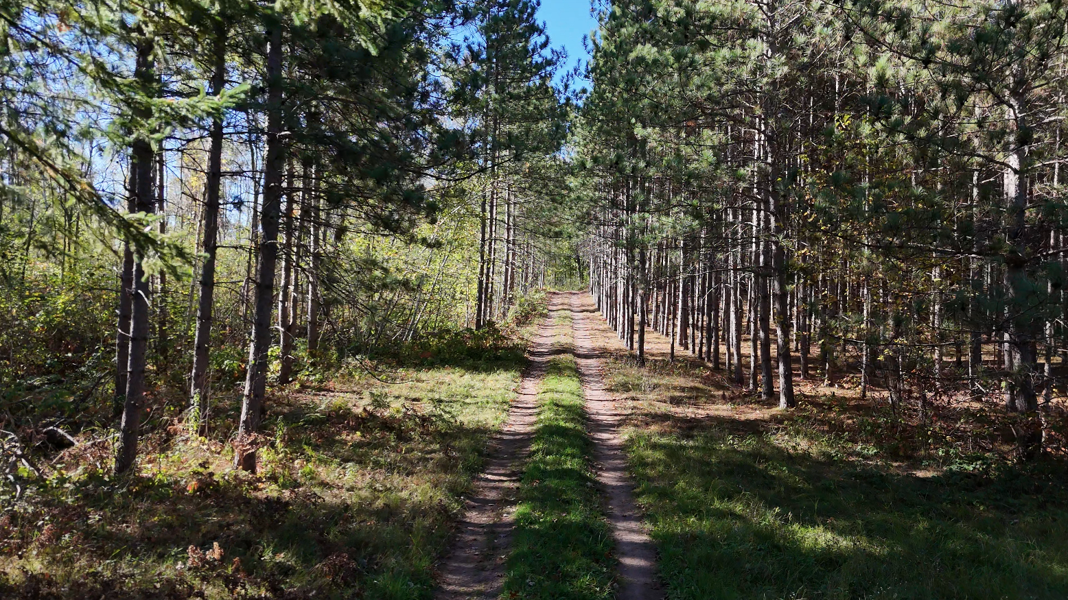 xxx Mann Rd, Spooner, WI 54801