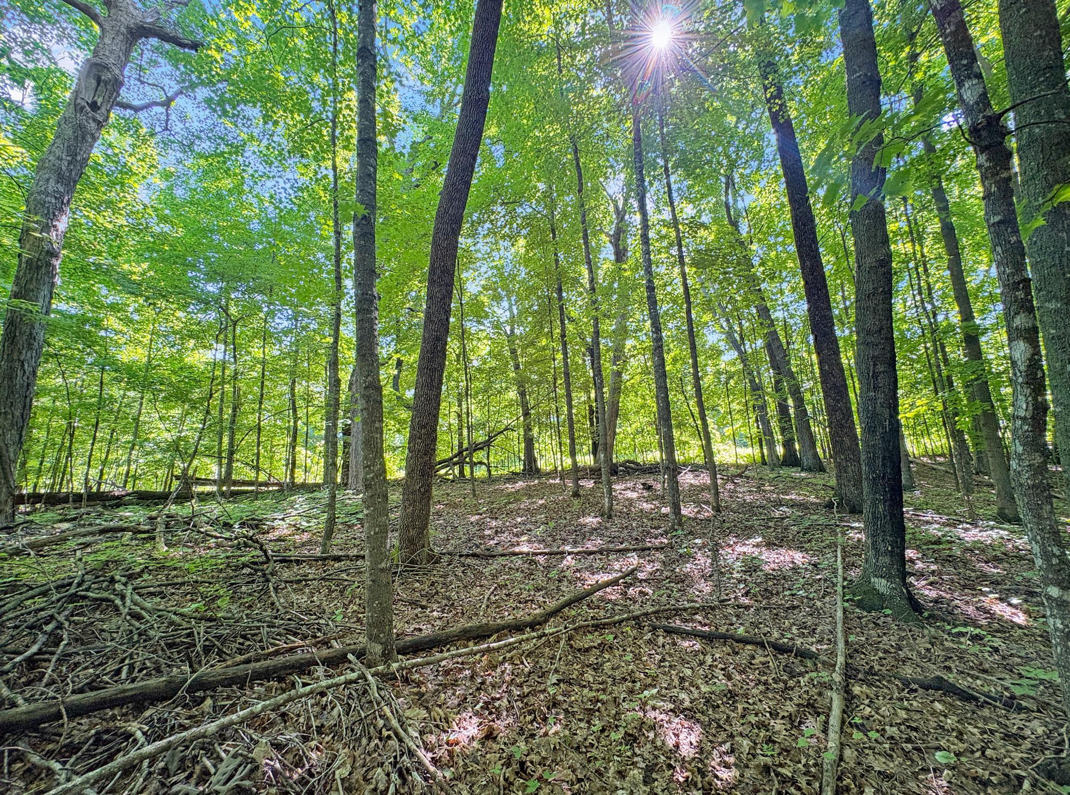 TBD 85th St, Frederic, WI 54837