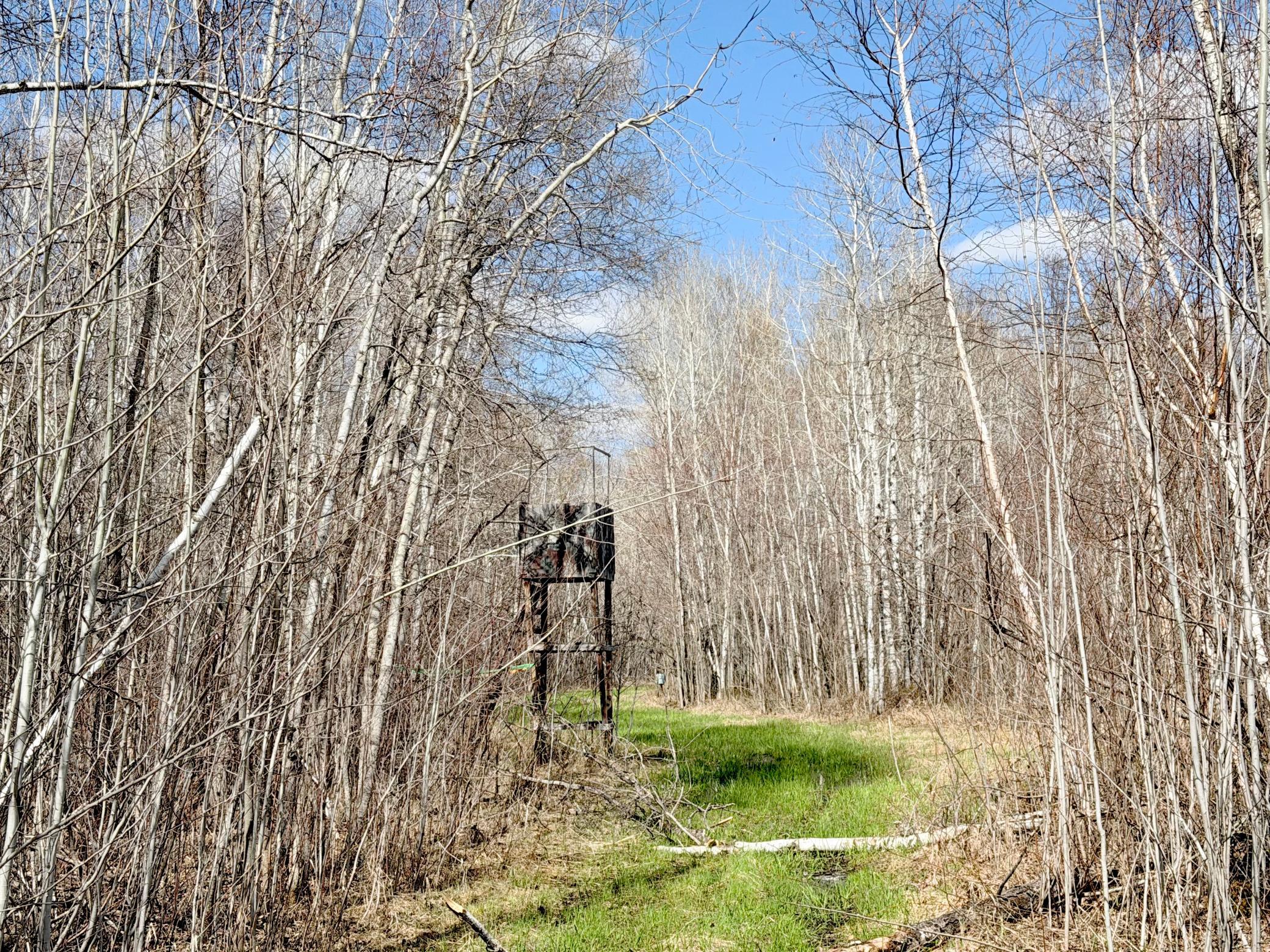 TBD Nature Ave, Palisade, MN 56469