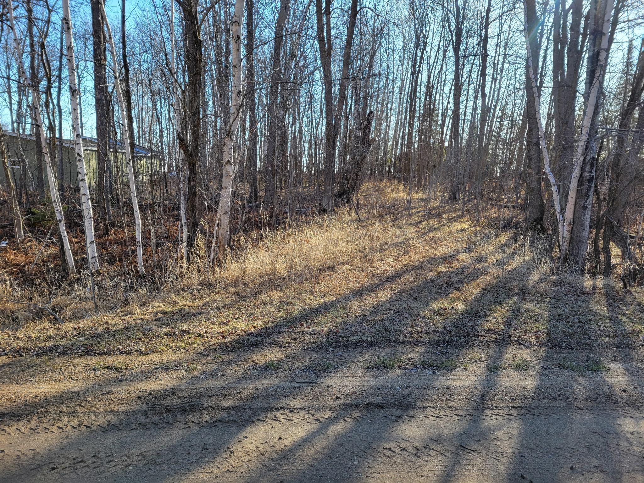 TBD Sandy Shores Dr NW, Williams, MN 56686