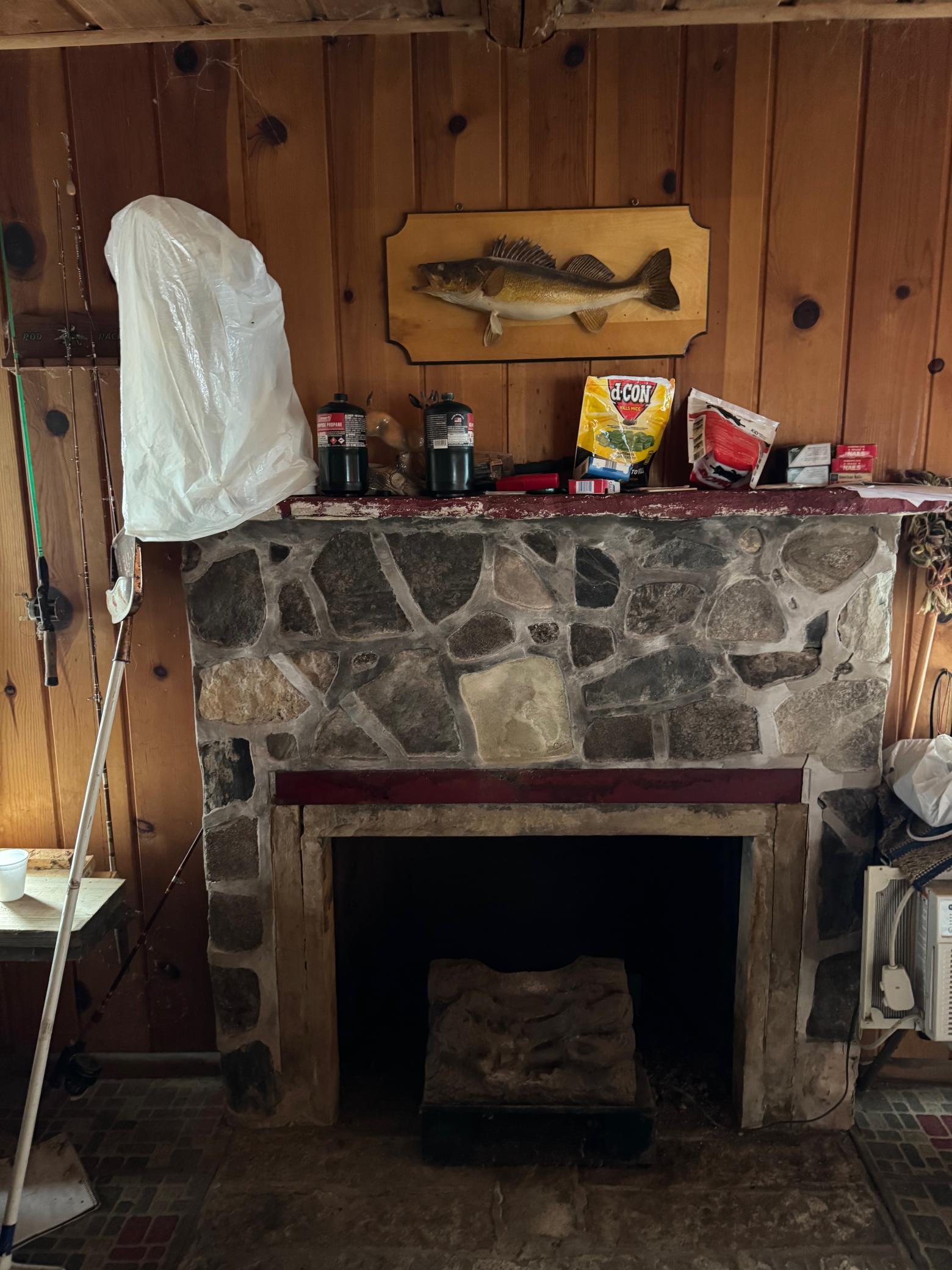 25845 Lou Rayne Beach Rd NE, Waskish, MN 56685