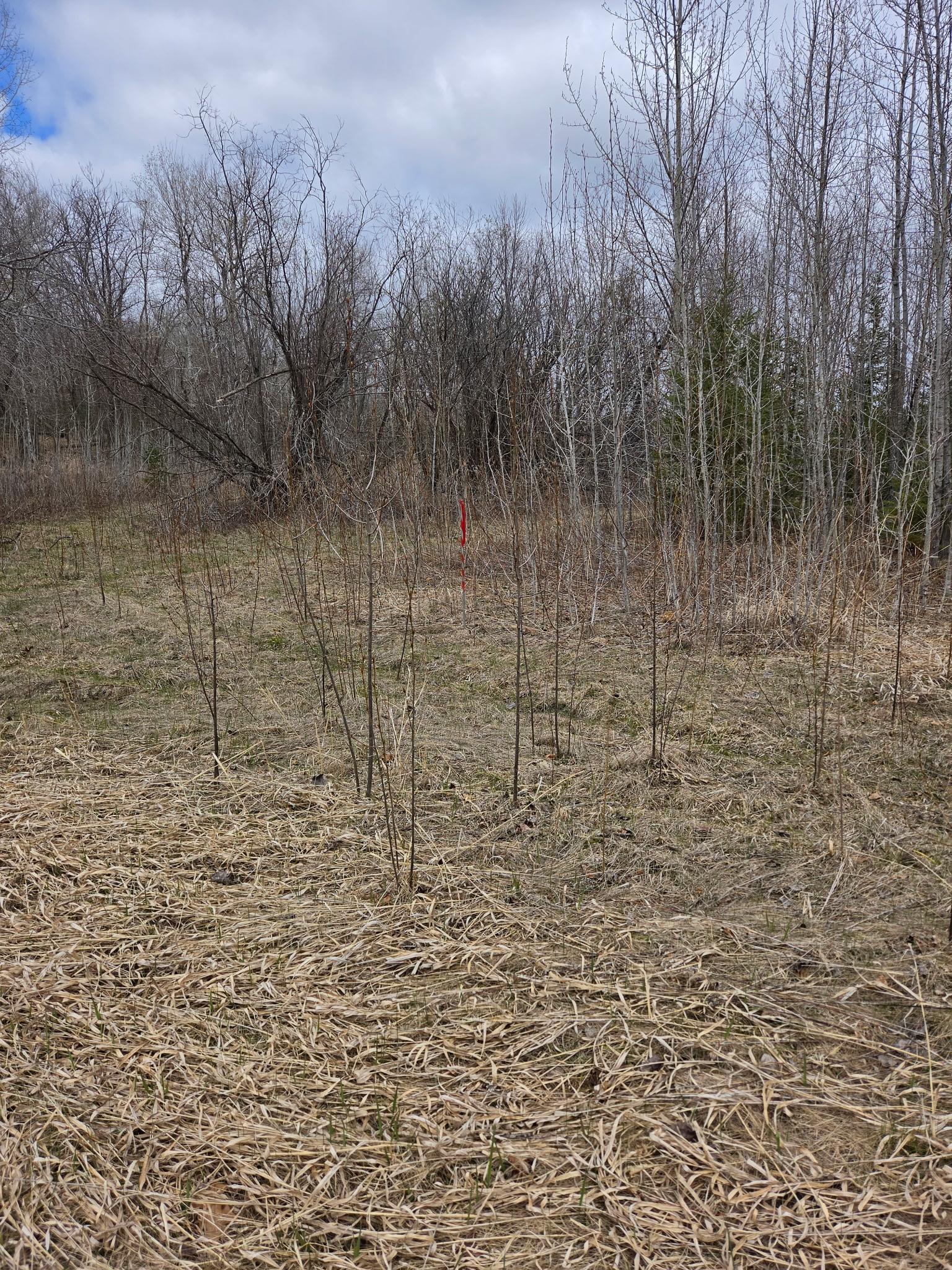 TBD Lampi Rd, Cohasset, MN 55721