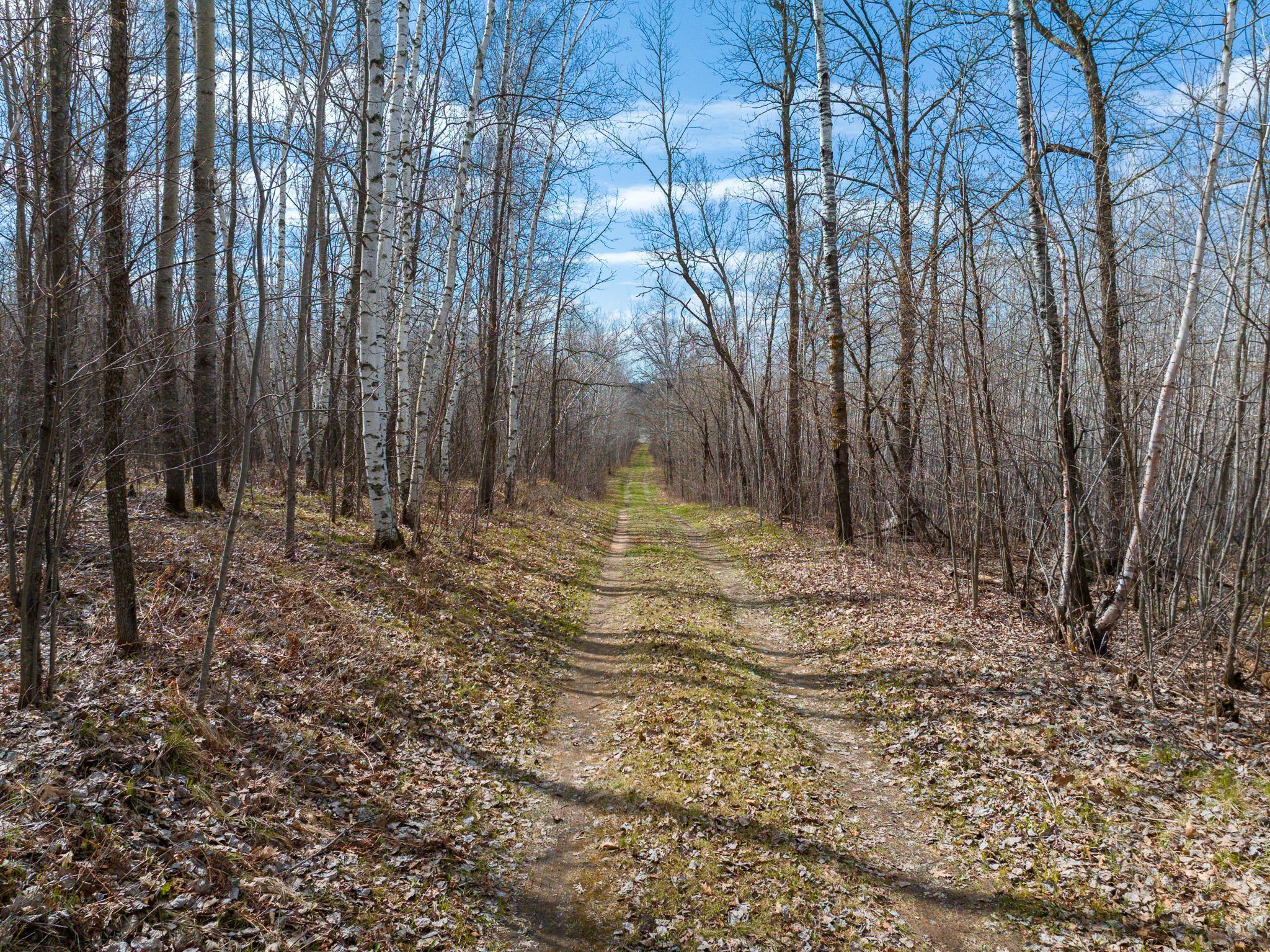 10901 Richmond Rd SW, Pillager, MN 56473